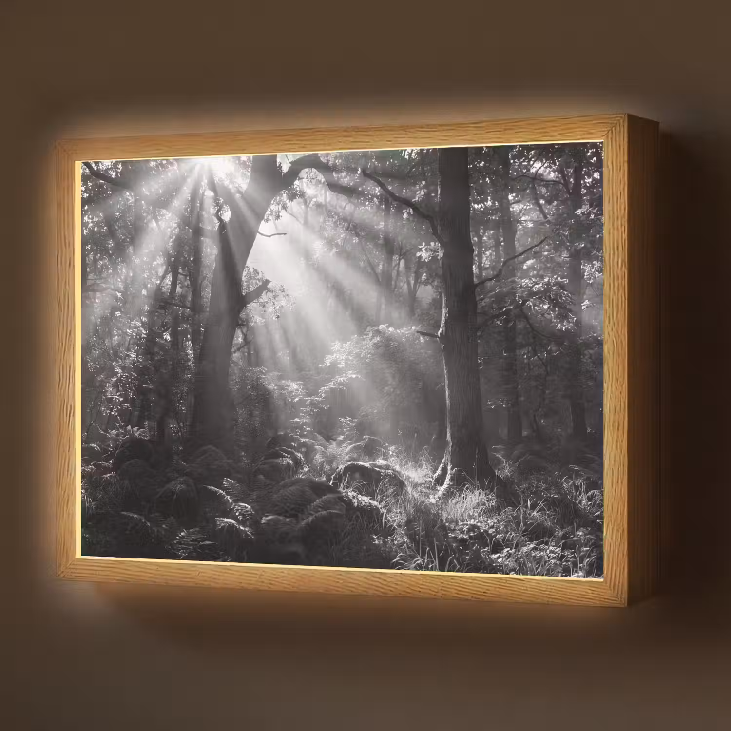 Bos - Lichtstralen - Natuur - Zwart-wit Light Box met batterij (Wandlamp) middel -z3d_website