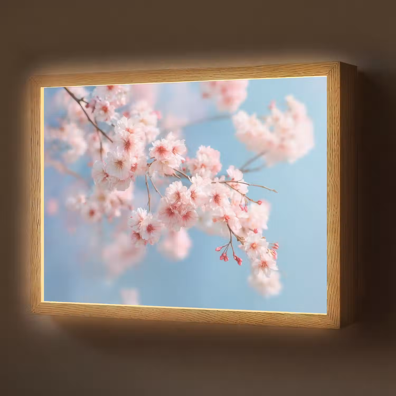 Takken - Bloesems - Roze Light Box met batterij (Wandlamp) middel -z3d_website