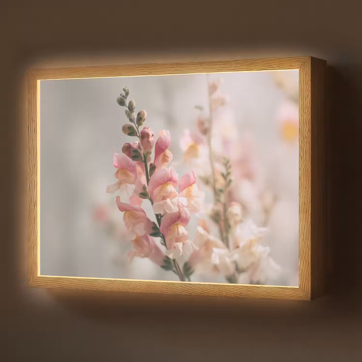 Bloem - Leeuwenbek - Roze - Stengel Light Box met batterij (Wandlamp) middel -z3d_website