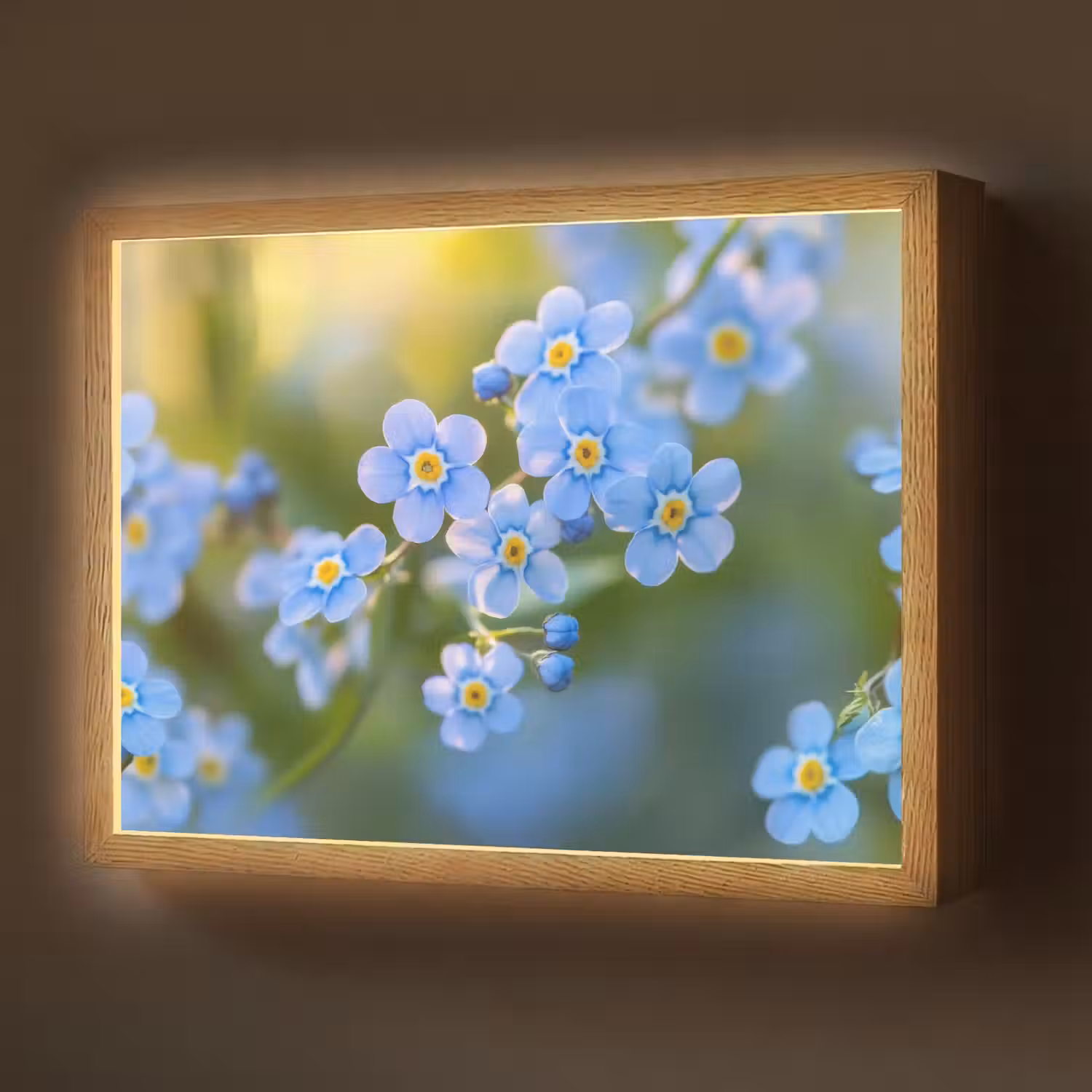 Bloemetjes - Blauw - Vergeet mij nietjes Light Box met batterij (Wandlamp) middel -z3d_website