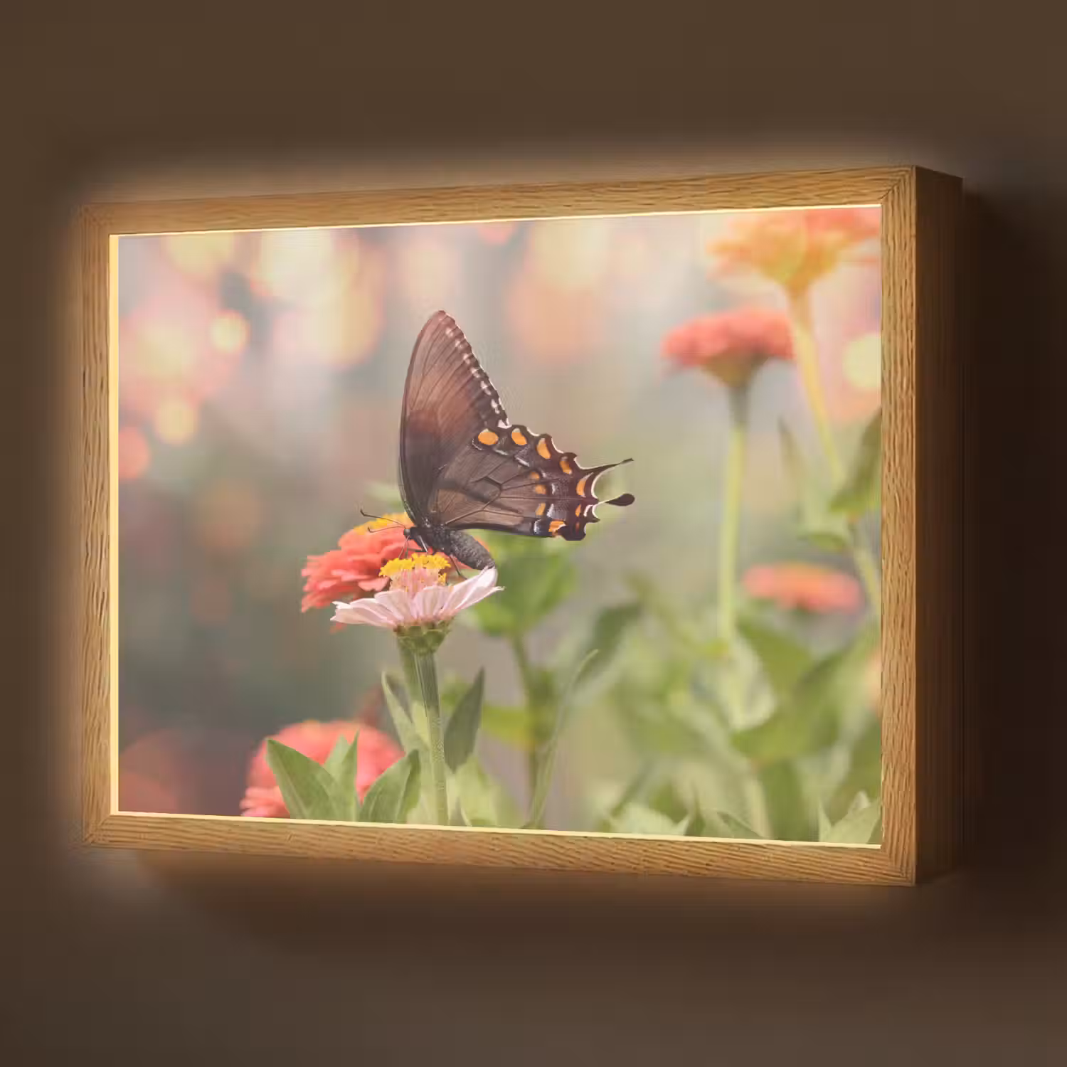 Bloemen - Vlinder - Natuur - Bloem Light Box met batterij (Wandlamp) middel -z3d_website