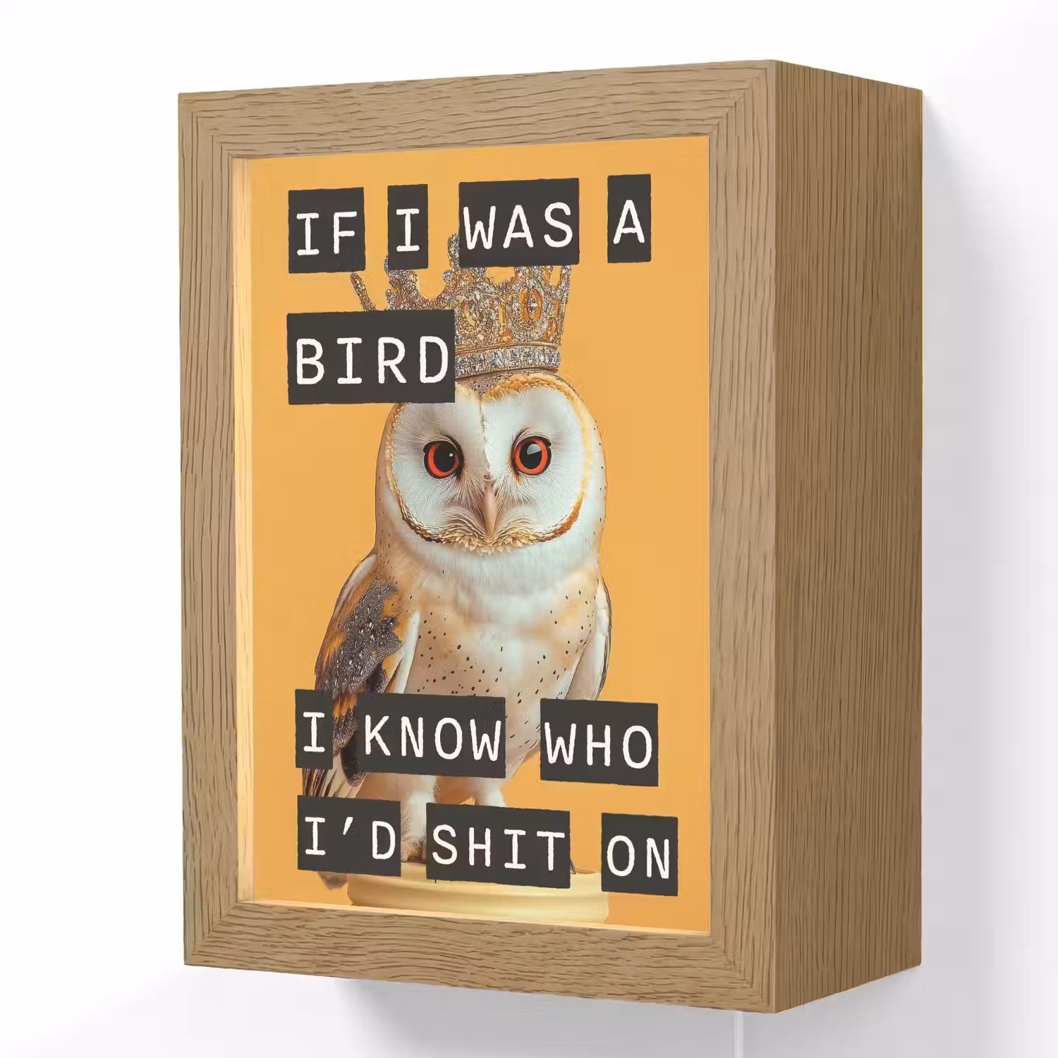 Geel - Uil - Vogel - Decoratie Light Box met kabel (Wandlamp) klein -3d