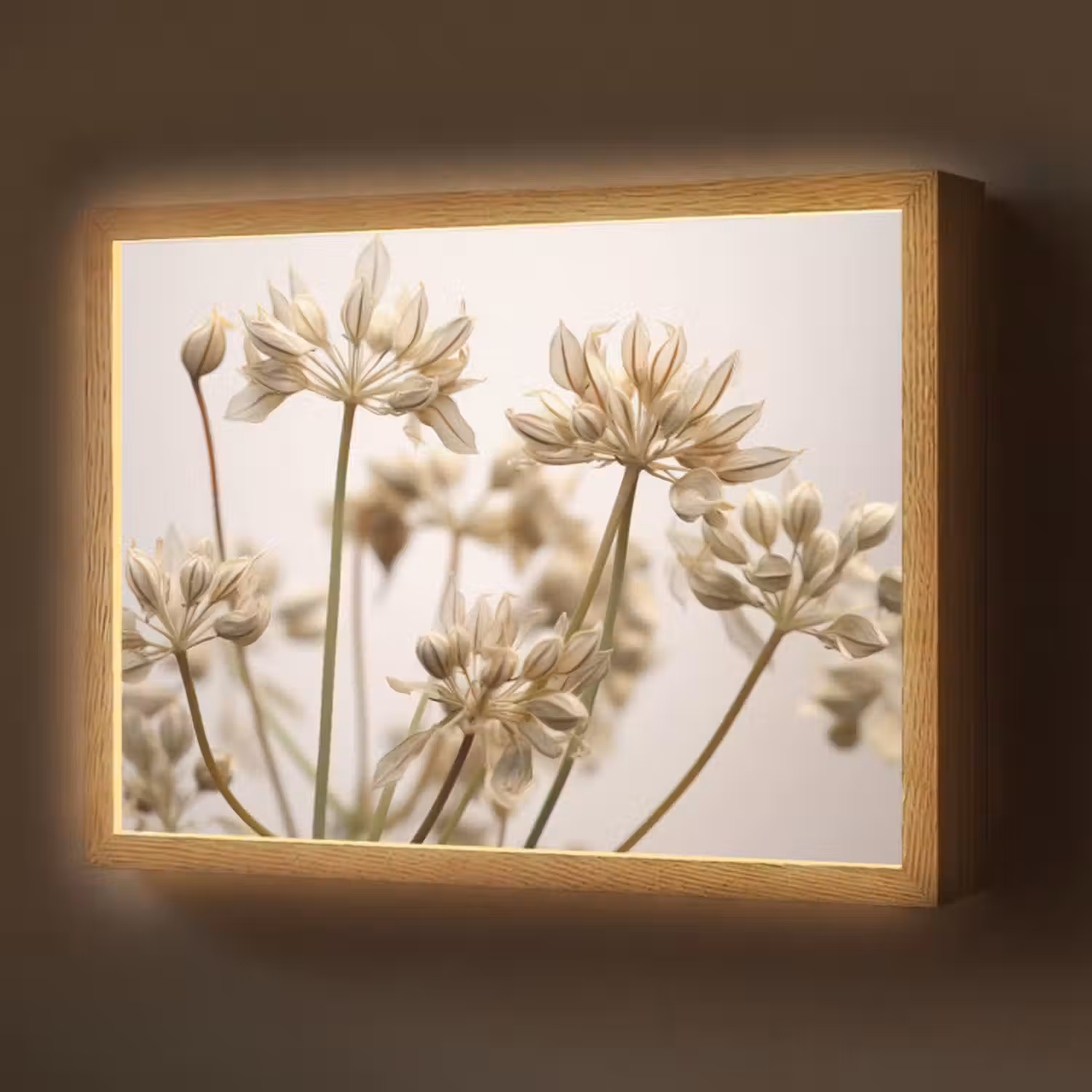 naturals-desenio-ferrari-ai-btvy4wzs3tthweuc4-3-light-box-met-batterij-wandlamp-middel-z3d-website.jpg