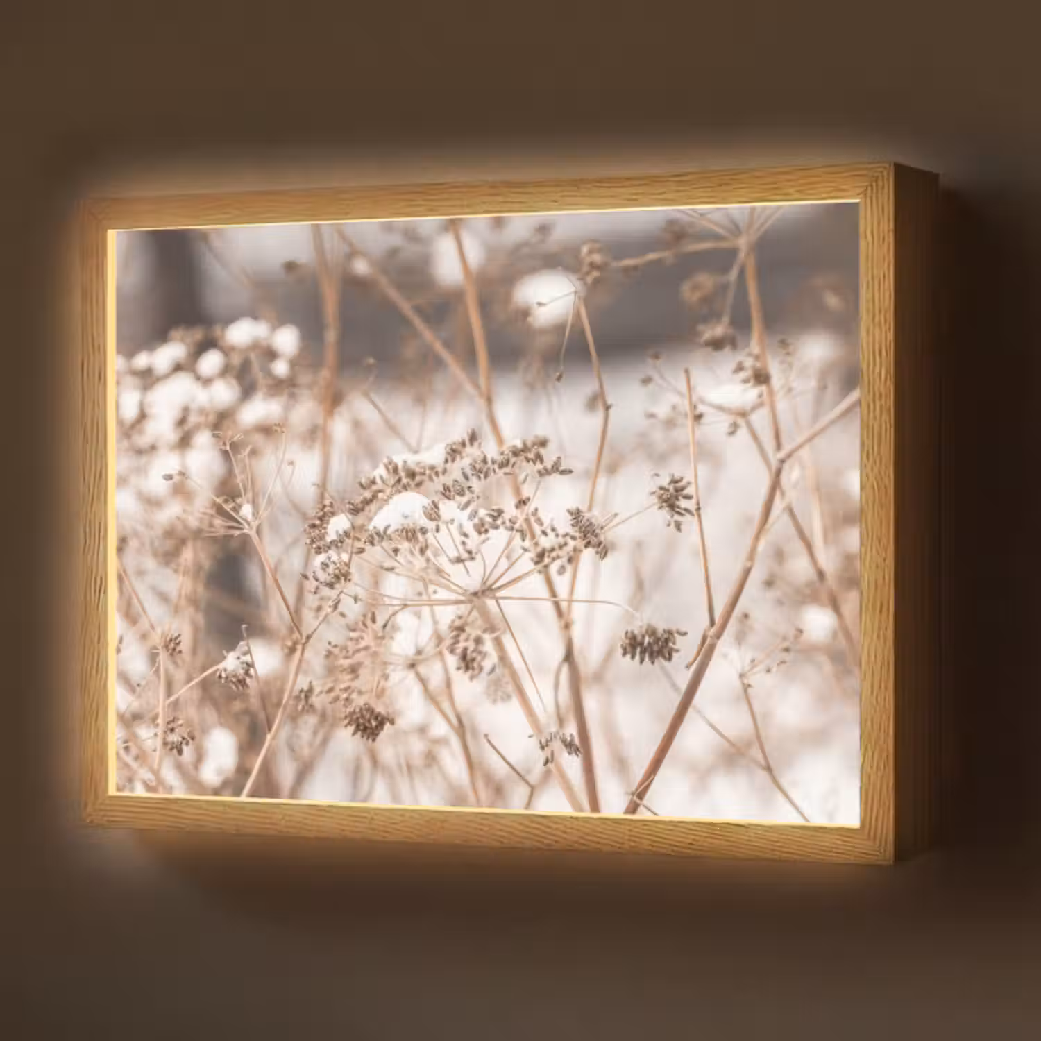 naturals-desenio-ferrari-ai-xxpkz4e8zgsyhuir4-3-light-box-met-batterij-wandlamp-middel-z3d-website.jpg