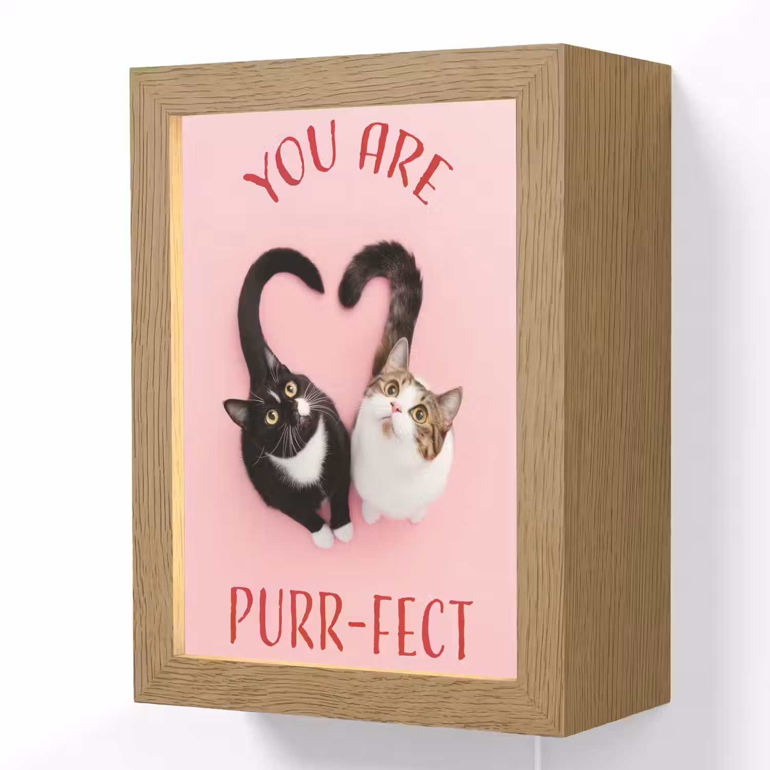 Kat - Hart - Tekst - Valentijn Light Box met kabel (Wandlamp) klein -3d