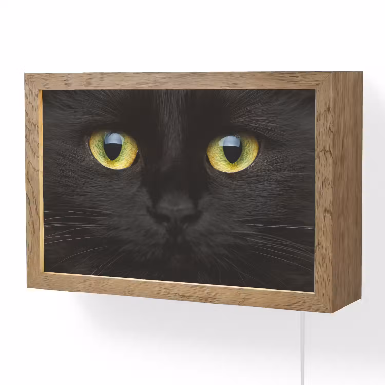 Kat - Zwart - Dieren - Natuur Light Box met kabel (Wandlamp) klein -3d