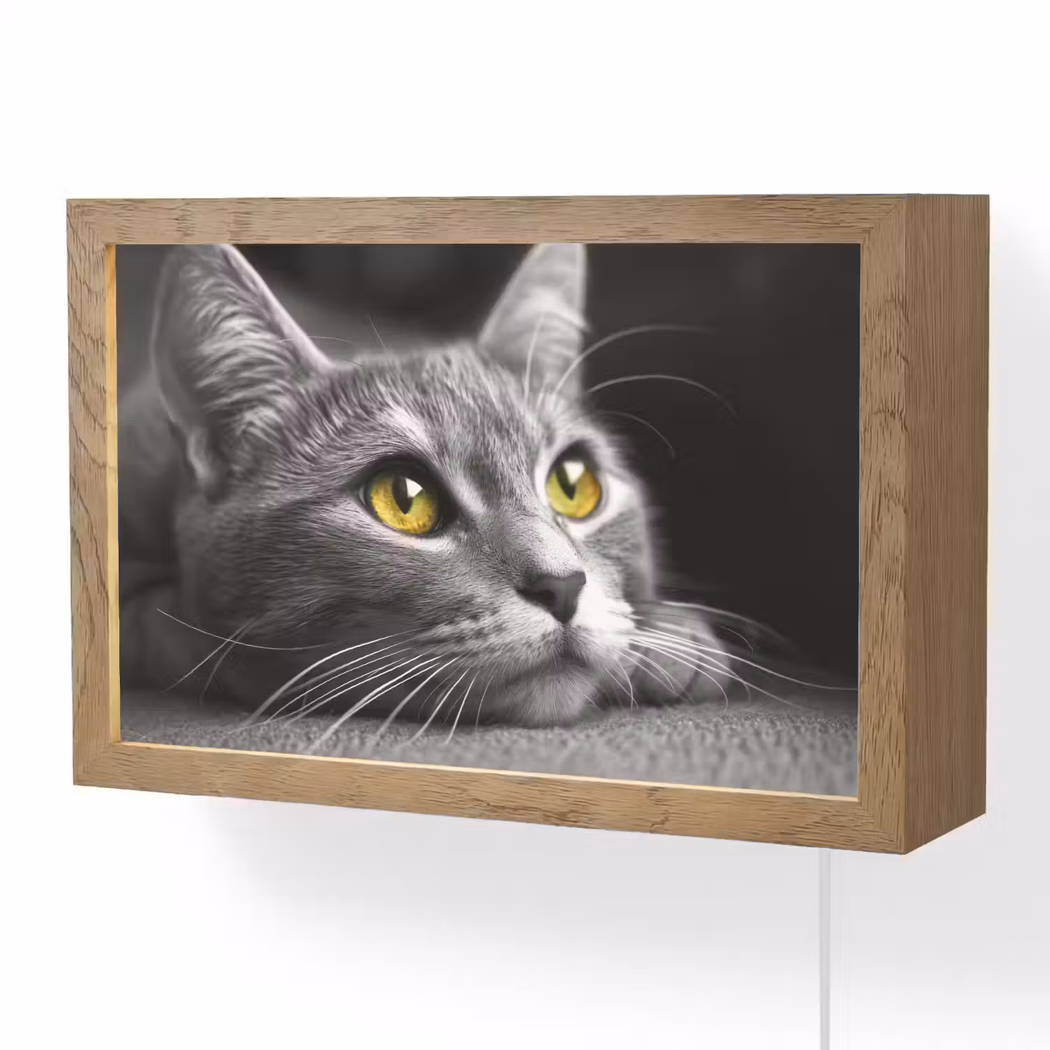 Kat - Zwart - Wit - Dieren - Natuur Light Box met kabel (Wandlamp) klein -3d