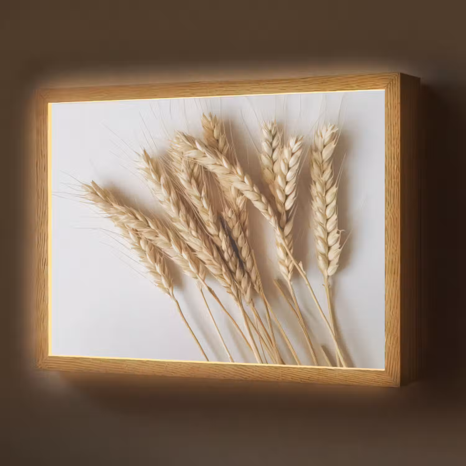 naturals-desenio-ferrari-ai-oyois22qgifrna164-3-light-box-met-batterij-wandlamp-middel-z3d-website.jpg