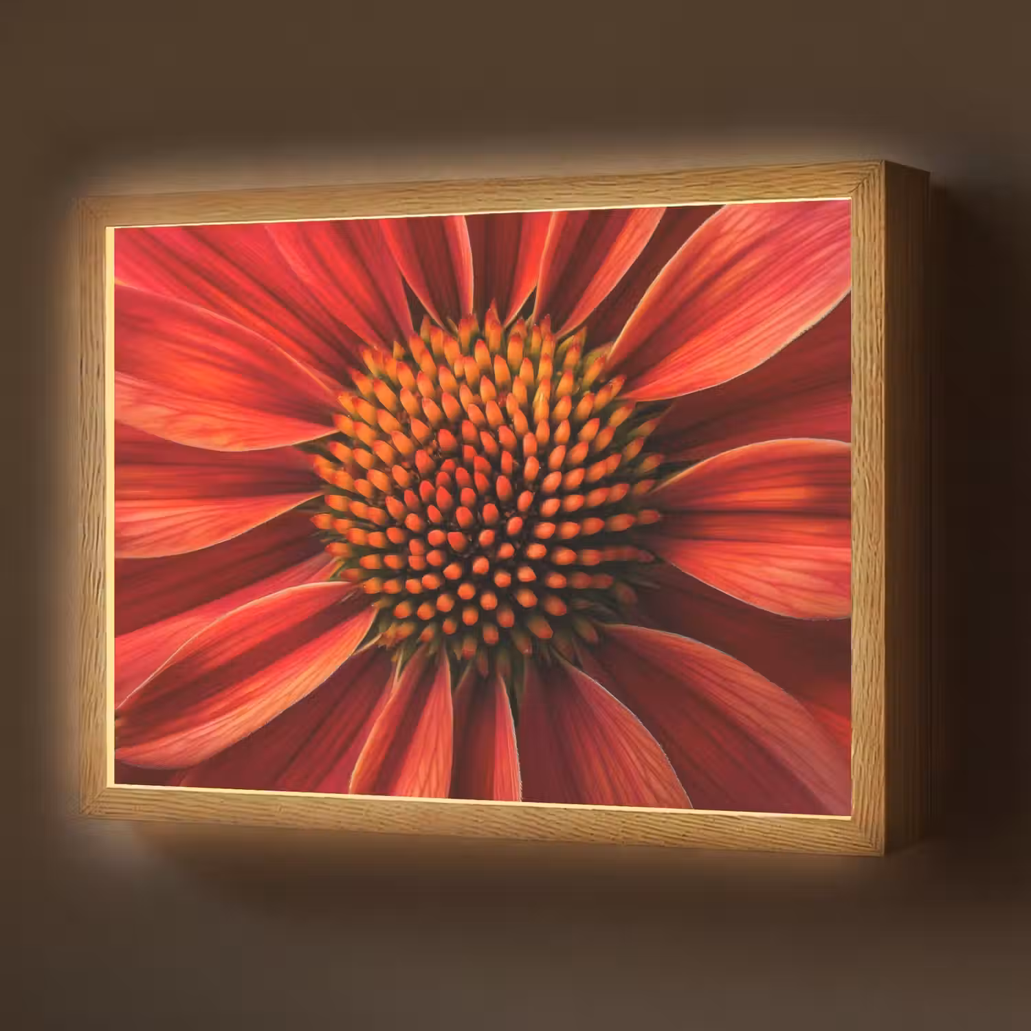 Close up - Bloem- Rood Light Box met batterij (Wandlamp) middel -z3d_website