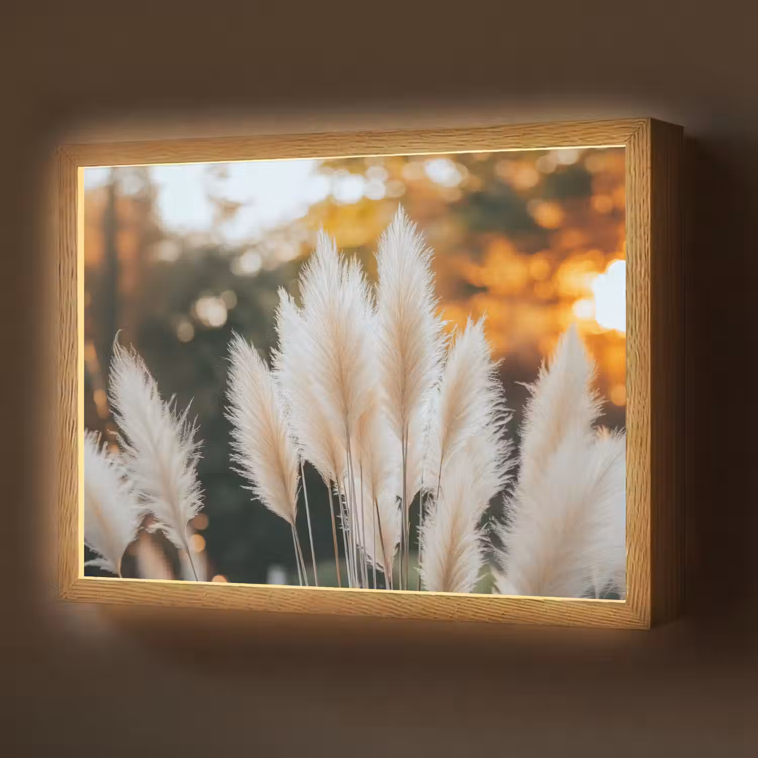 Pampasgras - Pluimen - Sierlijk Light Box met batterij (Wandlamp) middel -z3d_website