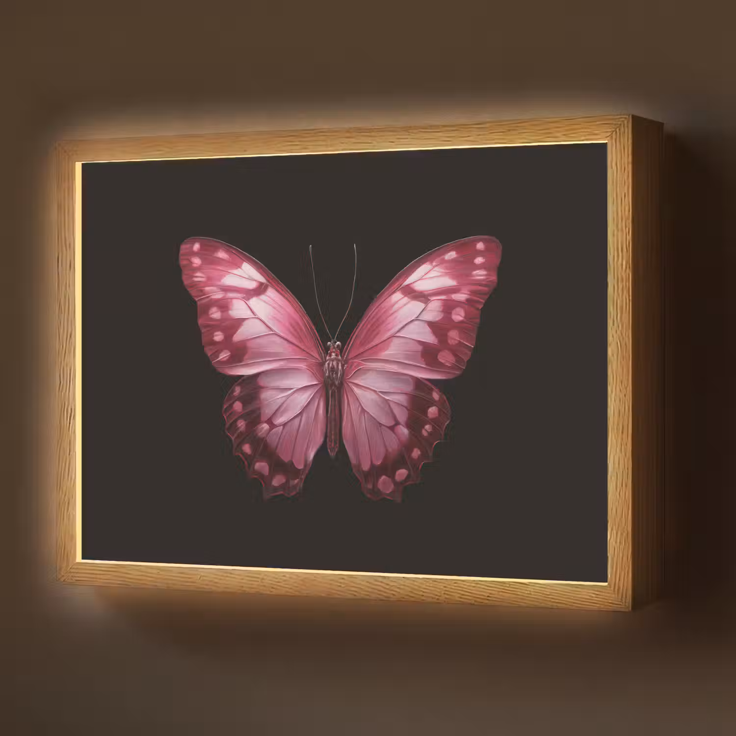 Vlinder - Fuchsia - Grafisch Light Box met batterij (Wandlamp) middel -z3d_website