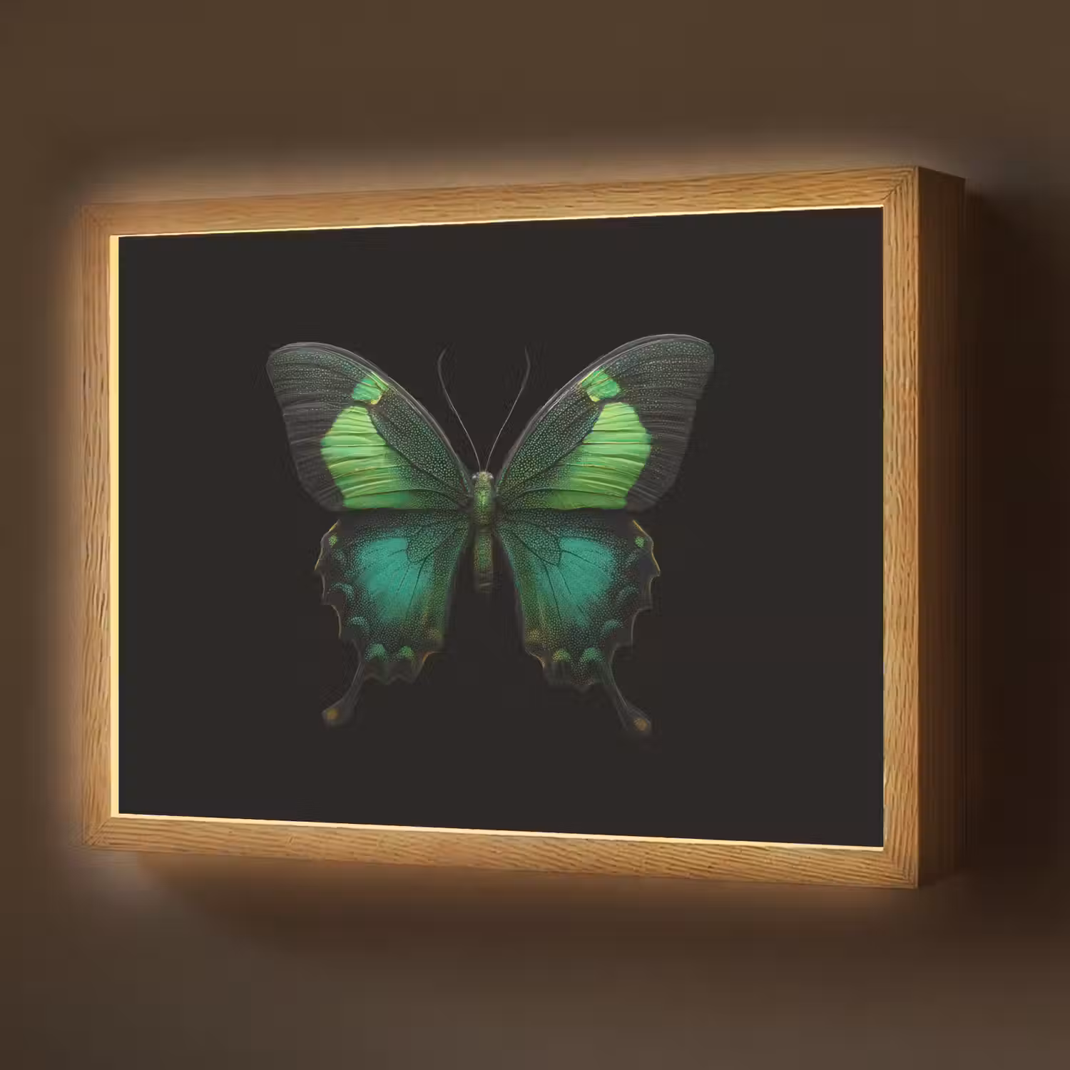 Vlinder - Groen - Opvallend Light Box met batterij (Wandlamp) middel -z3d_website
