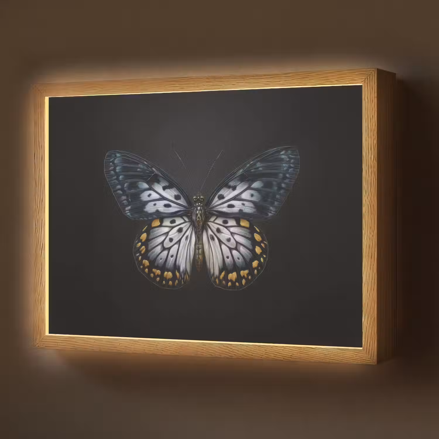 Vlinder - Monochroom - Balans Light Box met batterij (Wandlamp) middel -z3d_website