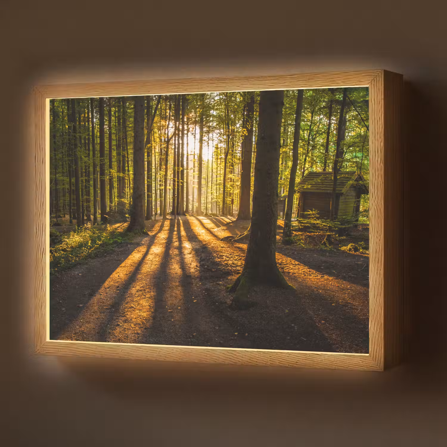 Zon - Bomen - Bos - Landschap - Natuur Light Box met batterij (Wandlamp) middel -z3d_website