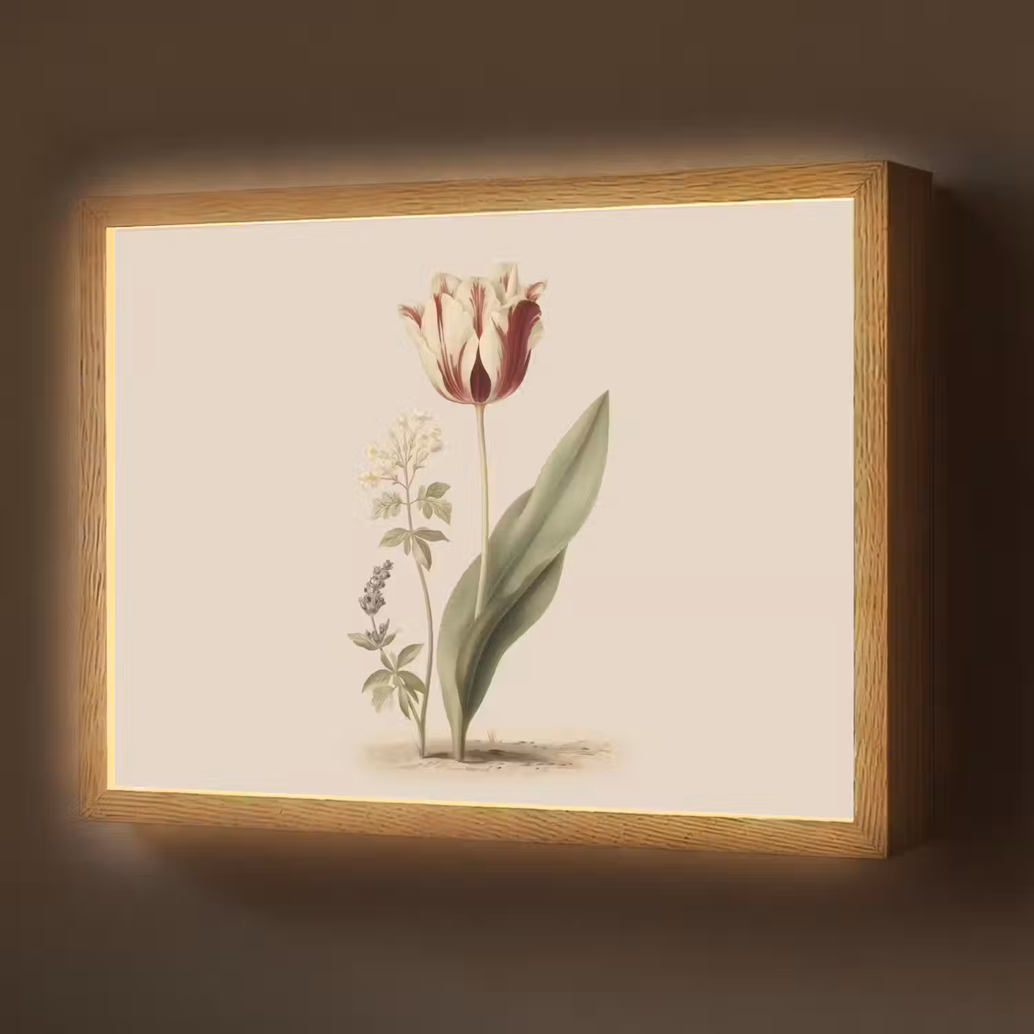 Tulp - Minimalistisch - Beige Light Box met batterij (Wandlamp) middel -z3d_website