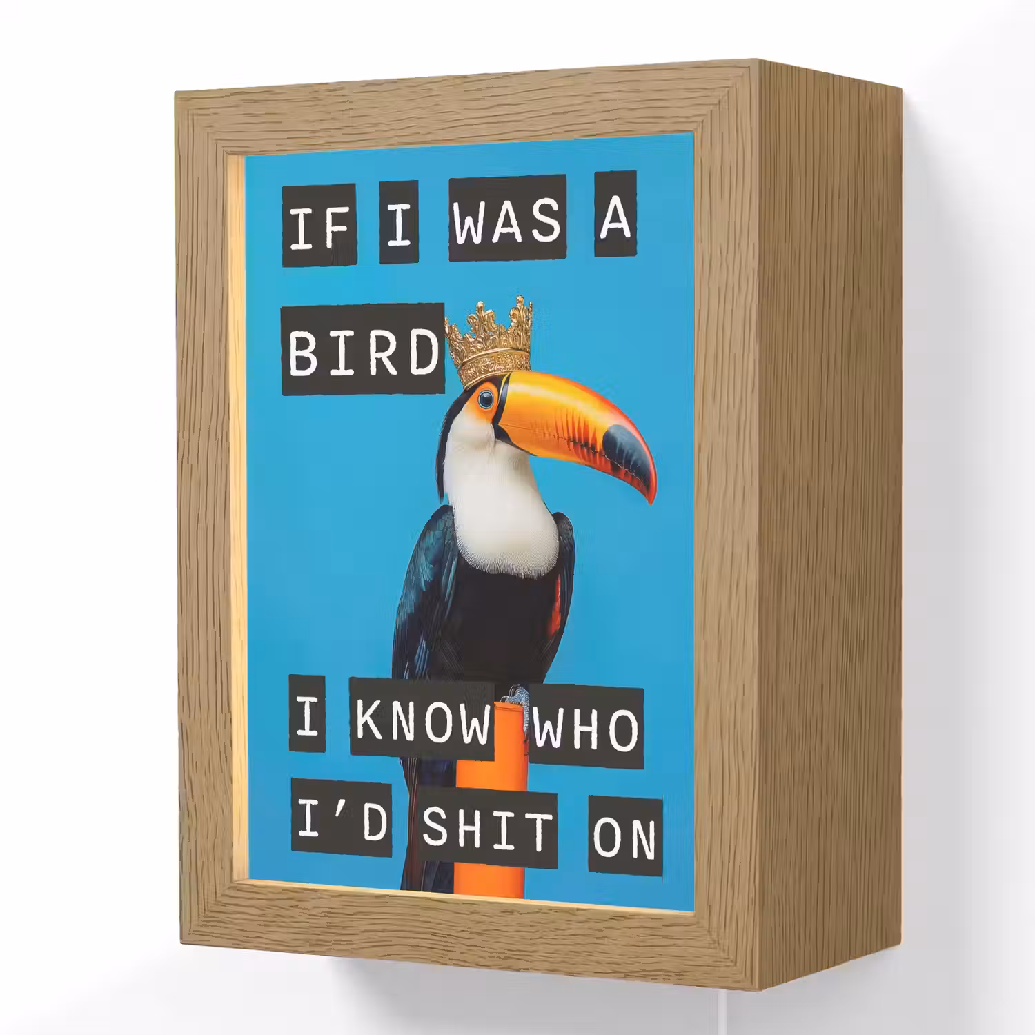 Vogel - Toekan - Blauw - Quotes Light Box met kabel (Wandlamp) klein -3d