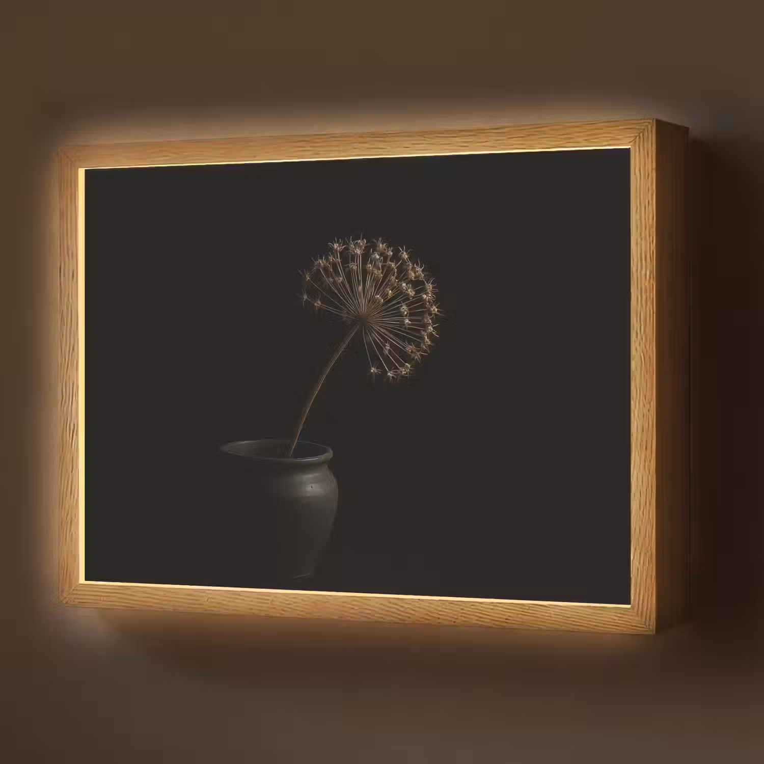 Bol - Gedroogd - Vaas - Zwart Light Box met batterij (Wandlamp) middel -z3d_website