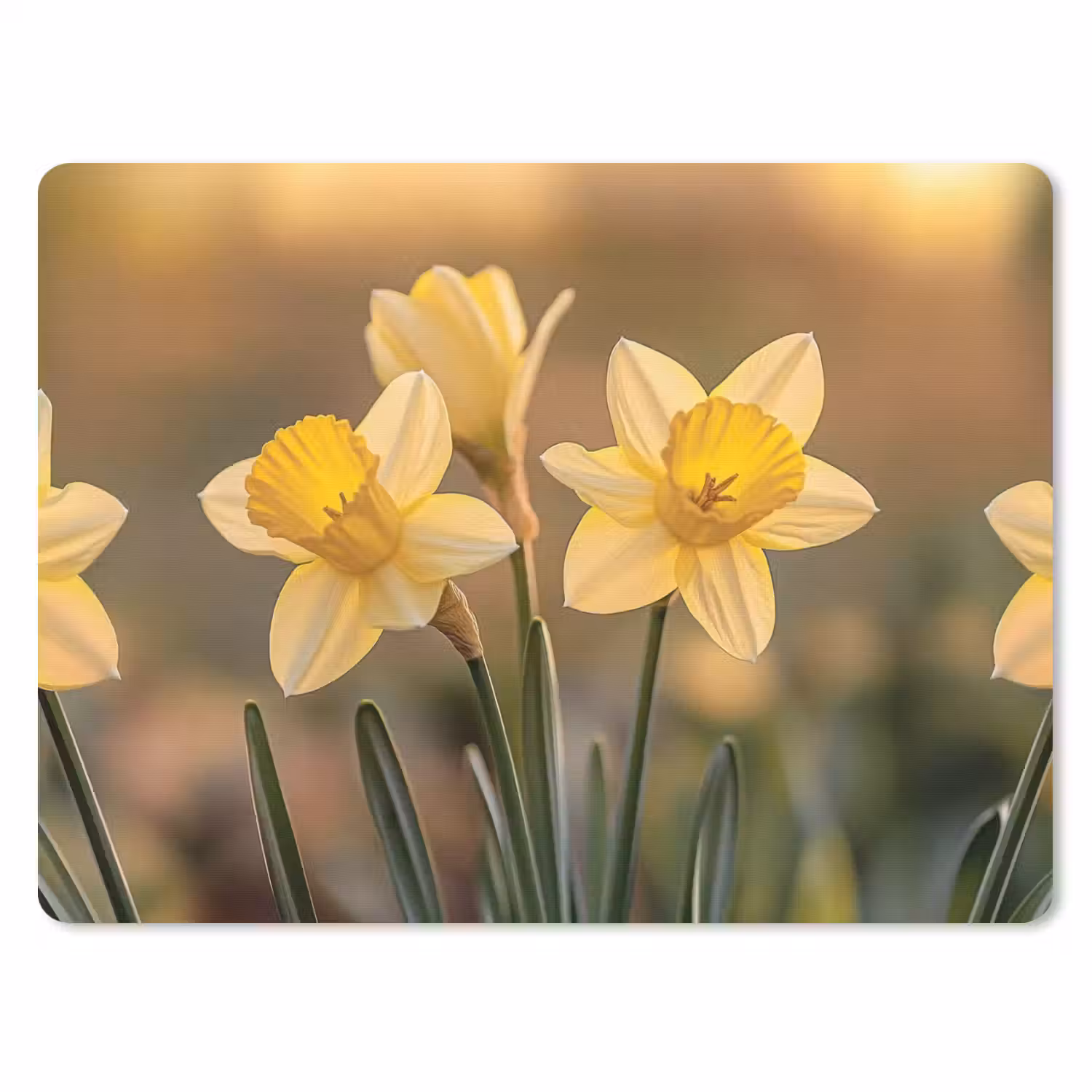 Bloemen - Geel - Wazig muismat rubber klein -3d