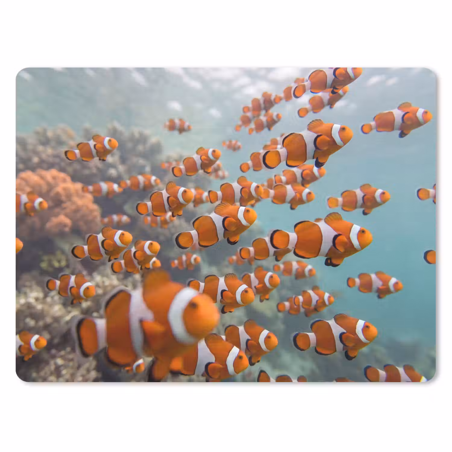 Vis - School - Onderwater - Dieren - Oranje muismat rubber klein -3d