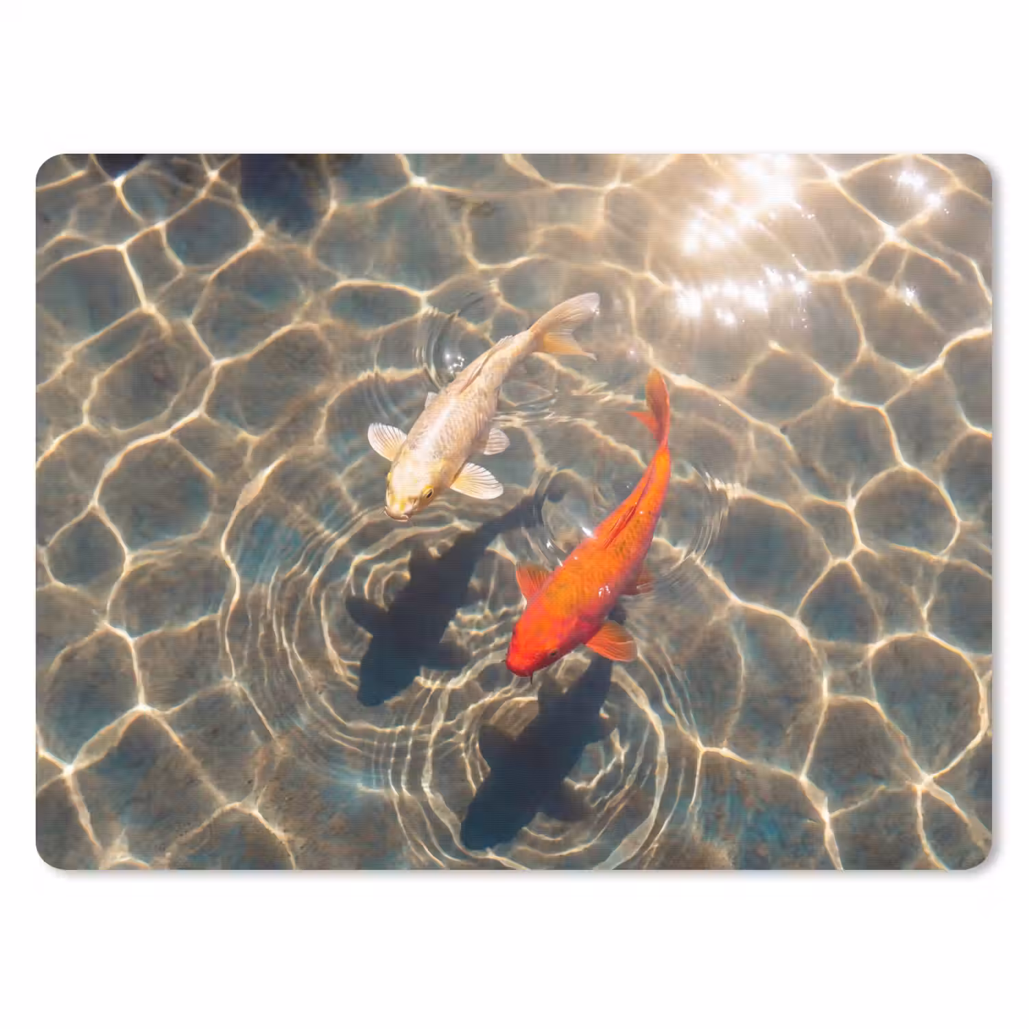 Vis - Water - Dieren - Oranje - Goud muismat rubber klein -3d