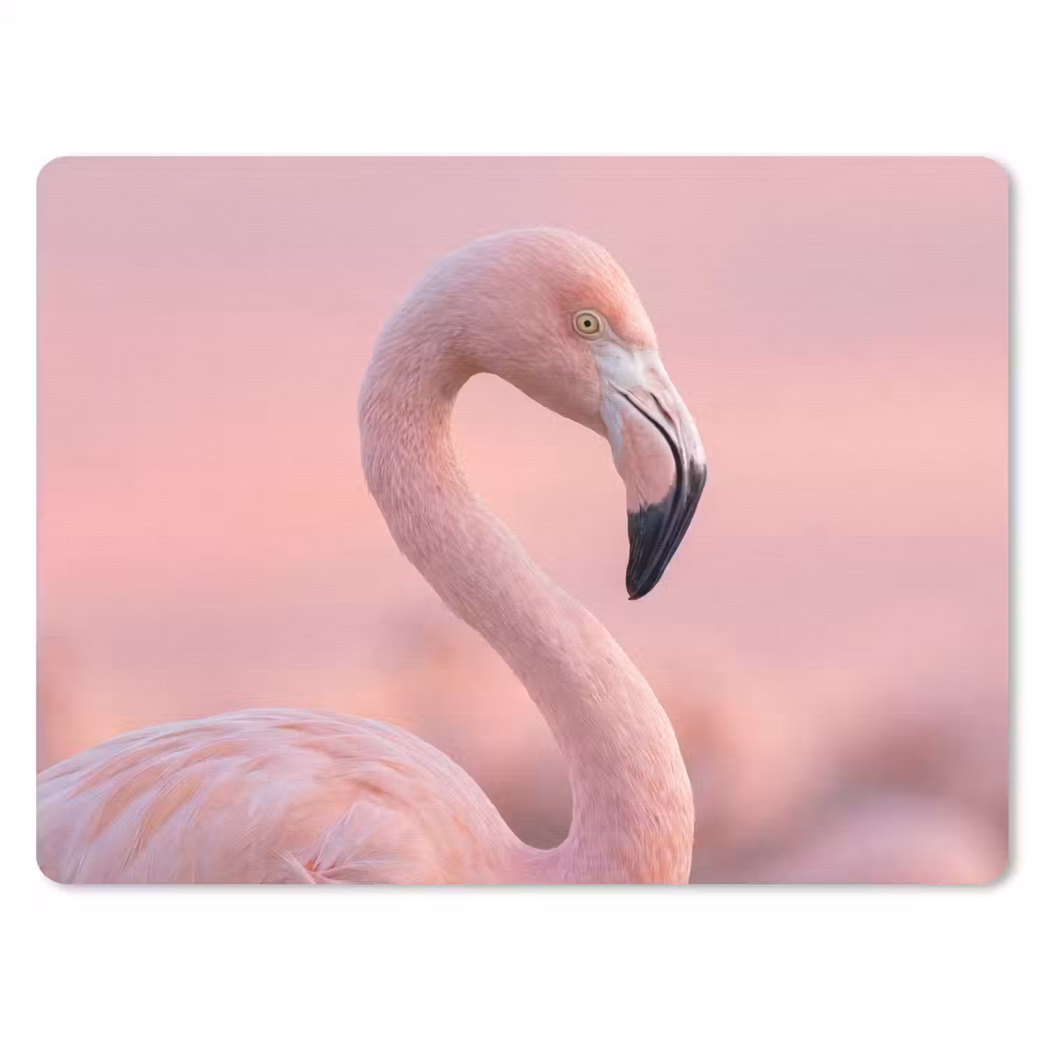 Flamingo - Portret - Roze muismat rubber klein -3d