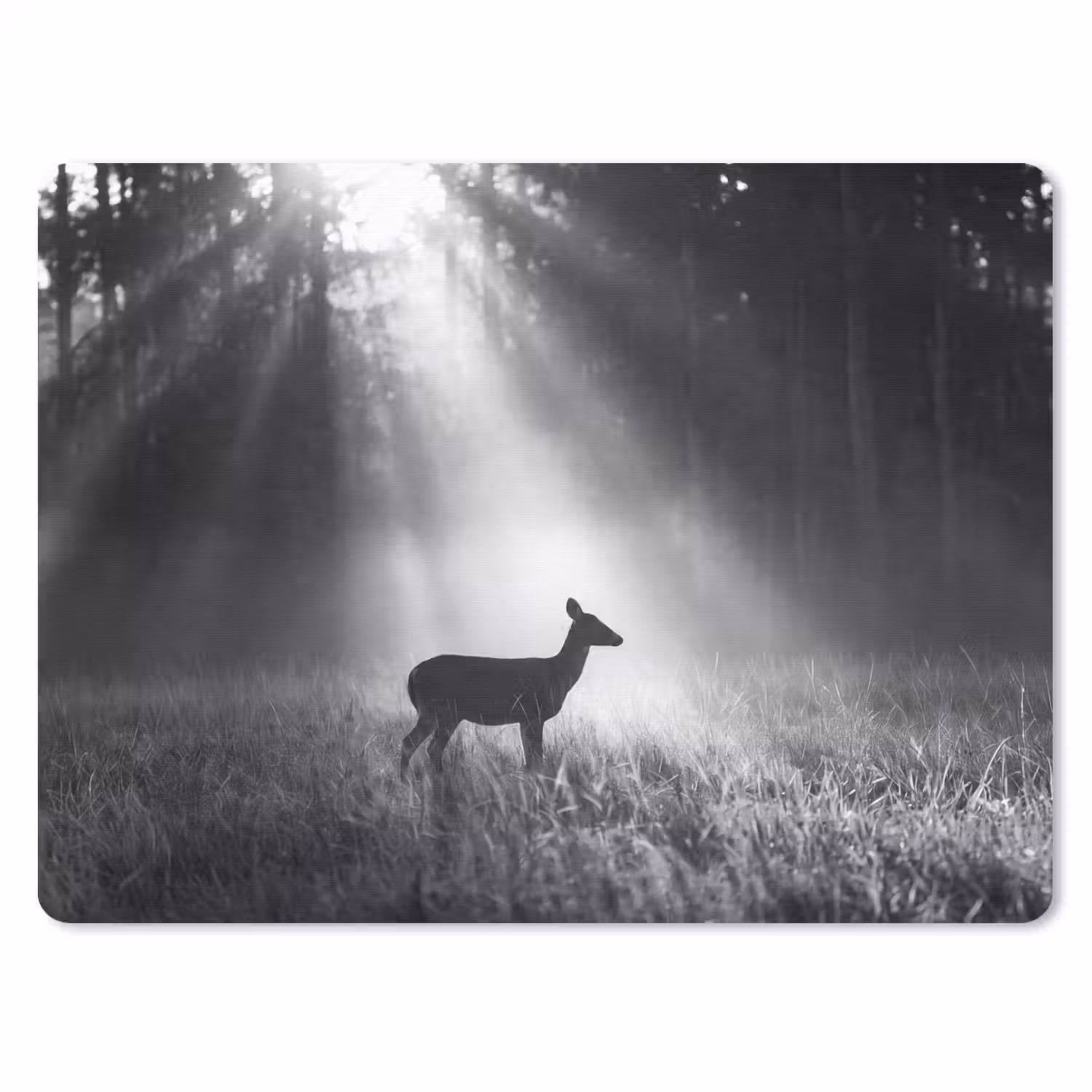 Hert - Bos - Zonnestralen - Zwart-wit - Natuur muismat rubber klein -3d