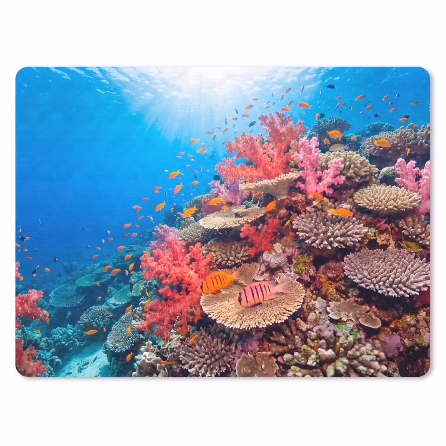 Koraalrif - Vissen - Onderwater - Tropisch - Rood muismat rubber klein -3d