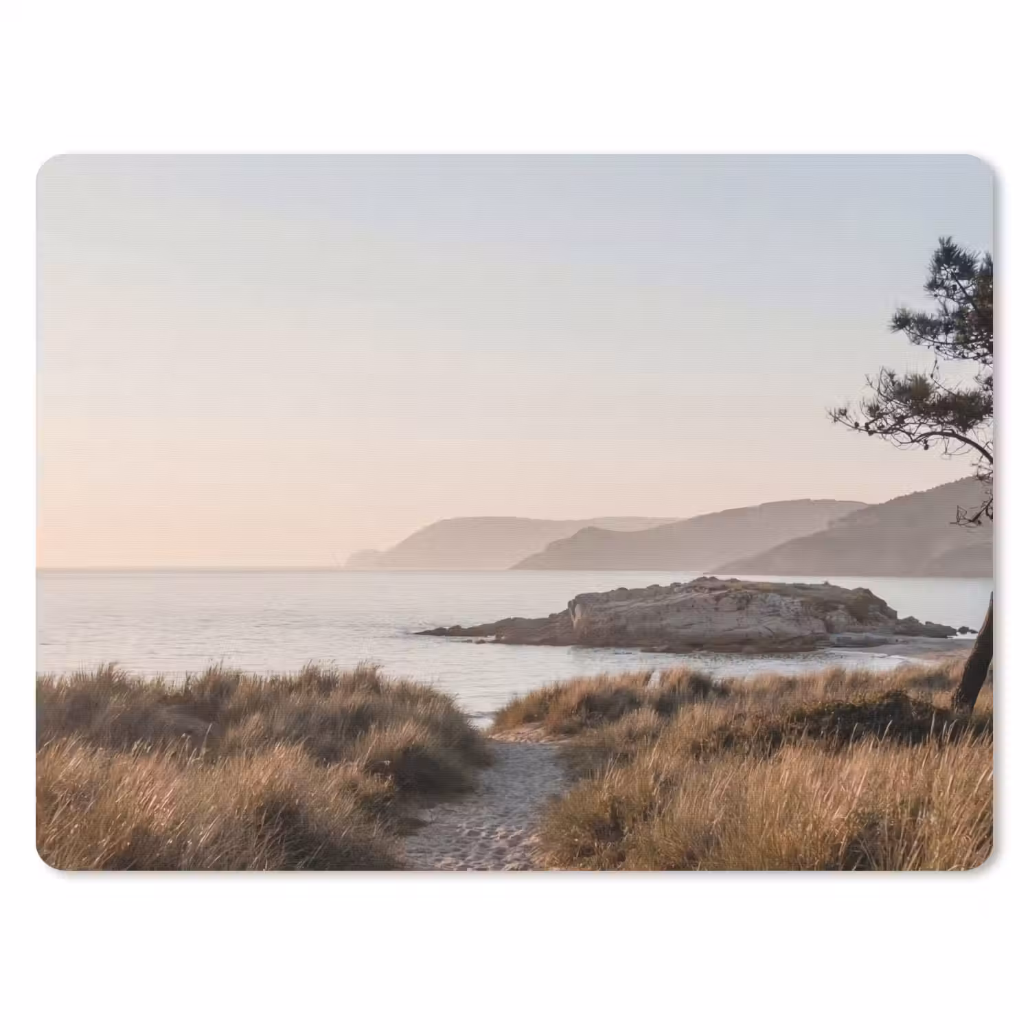 Landschap - Kust - Duinen muismat rubber klein -3d