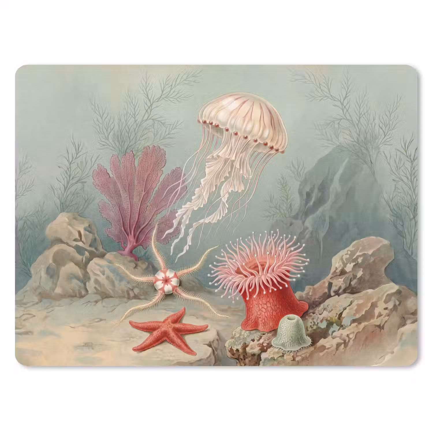 Zeeleven - Kwal - Onderwater - Illustratie - Beige muismat rubber klein -3d