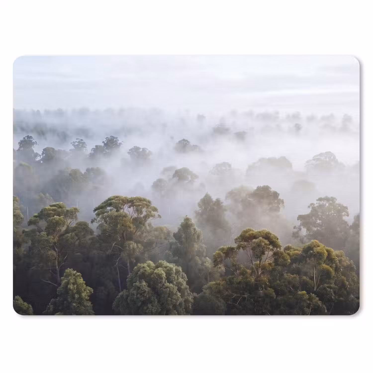 Natuur - Mist - Bos - Ochtend - Goud muismat rubber klein -3d