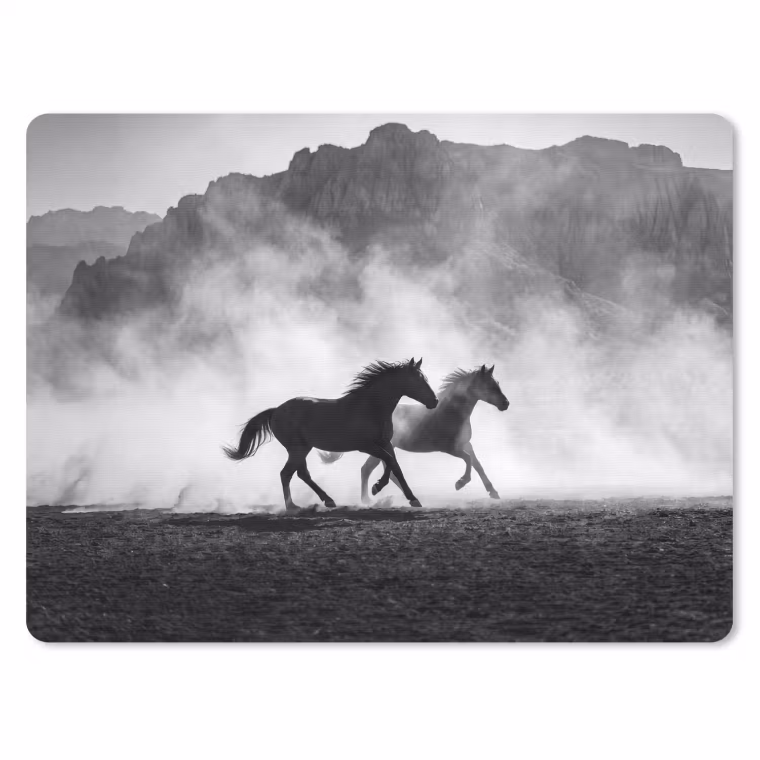 Paard - Ren - Stof - Zwart-wit - Dieren muismat rubber klein -3d
