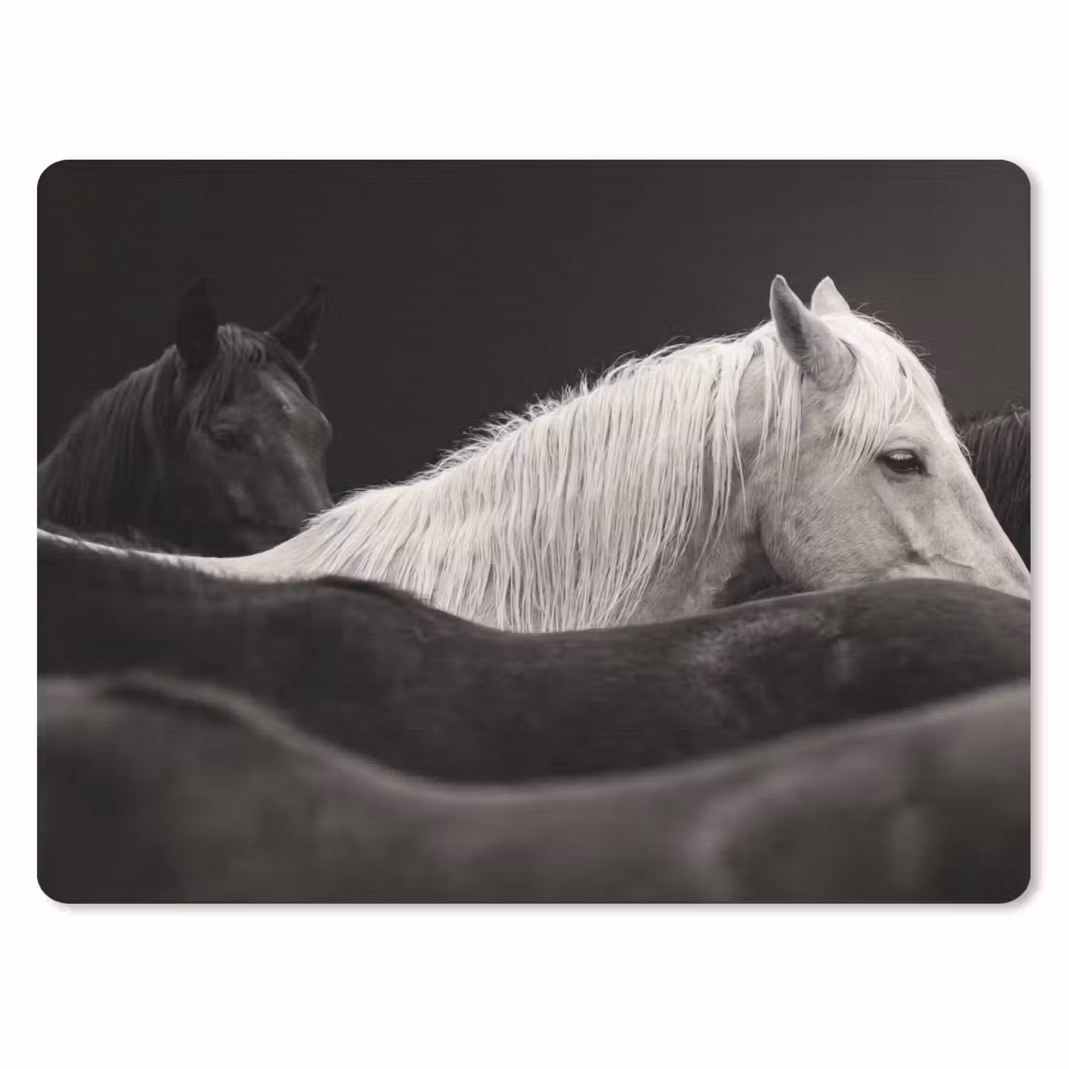 Paarden - Zwart - Wit - Kudde muismat rubber klein -3d