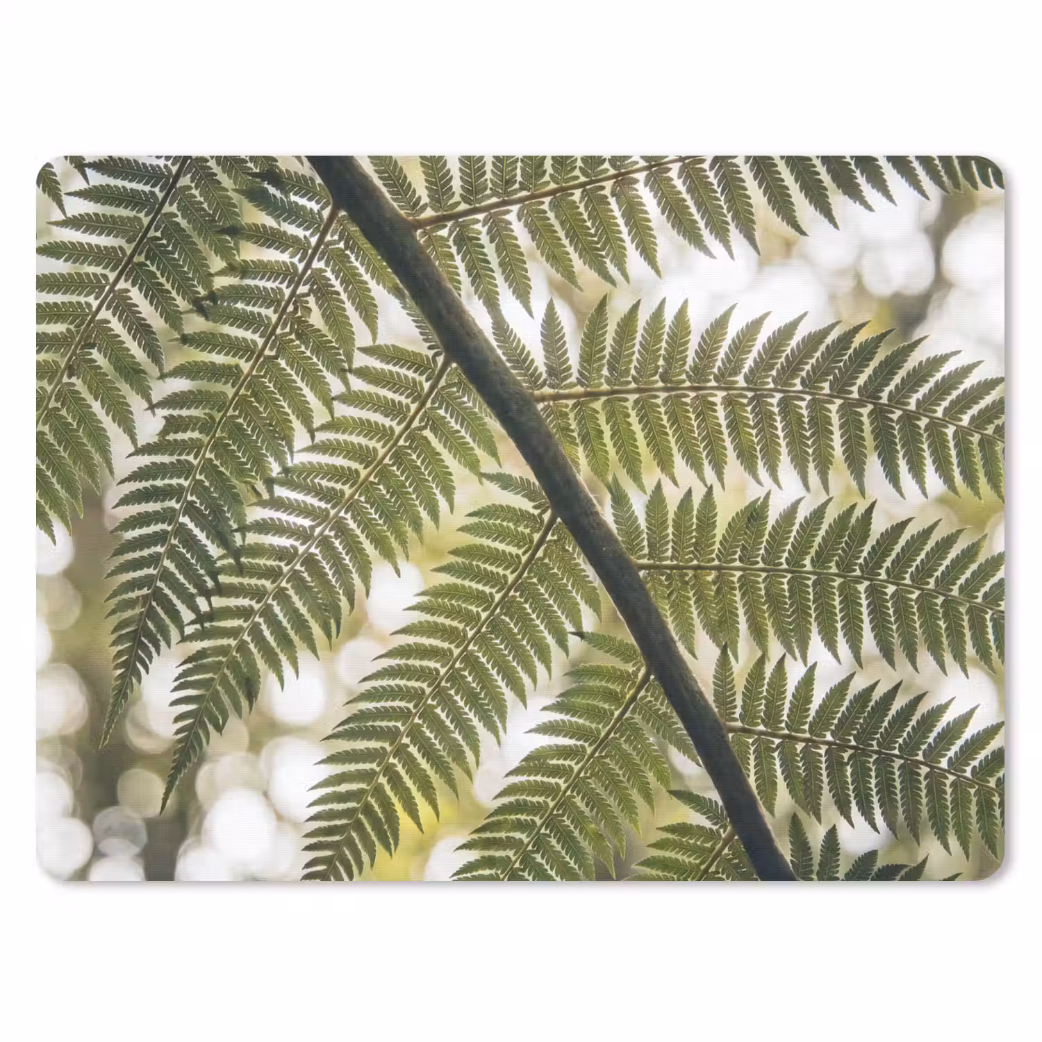 Plant - Blad - Natuur - Groen - Detail muismat rubber klein -3d