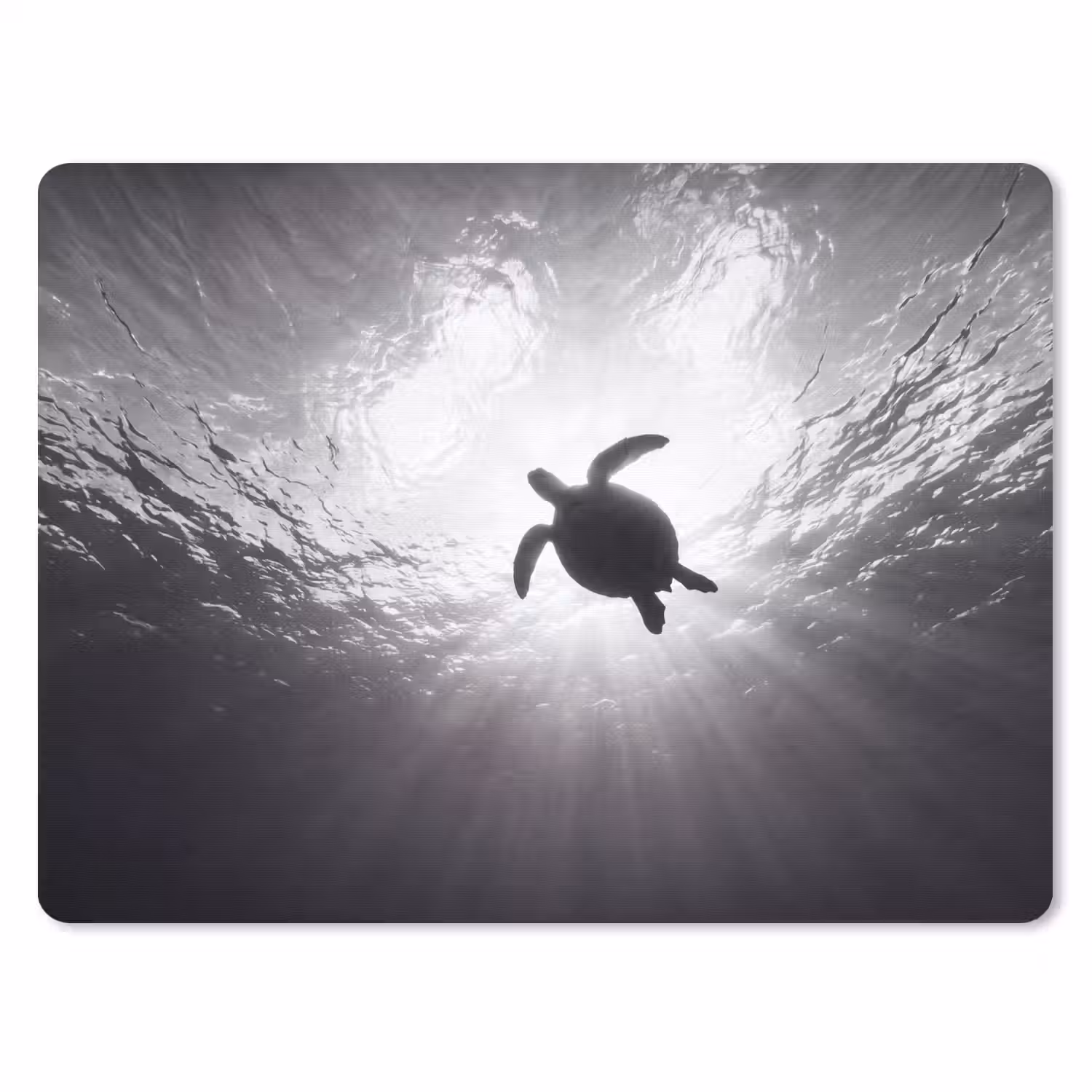 Schildpad - Onderwater - Lichtstralen - Oceaan - Zwart-wit muismat rubber klein -3d
