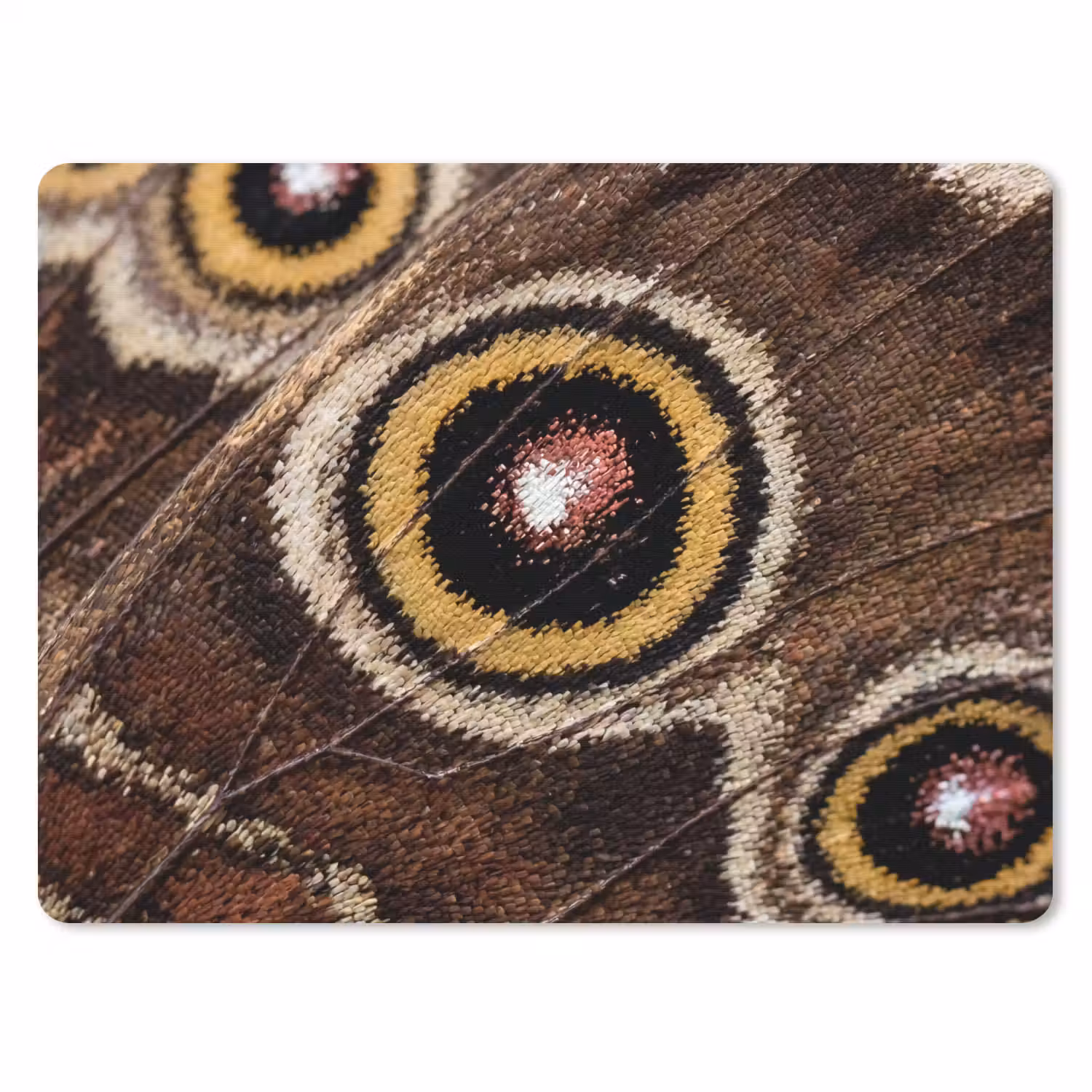 Vlinder - Vleugel - Abstract muismat rubber klein -3d