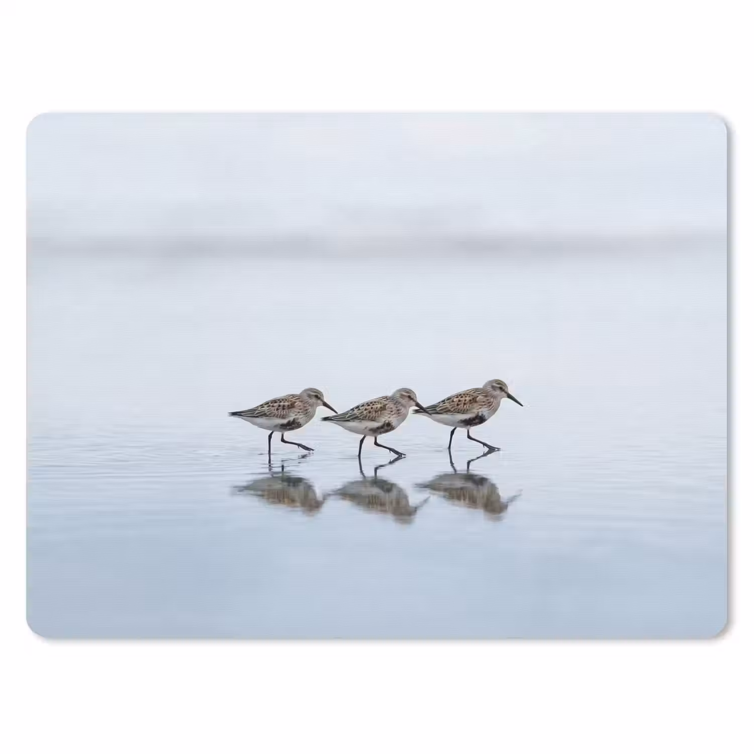 Vogels - Water - Grijs muismat rubber klein -3d