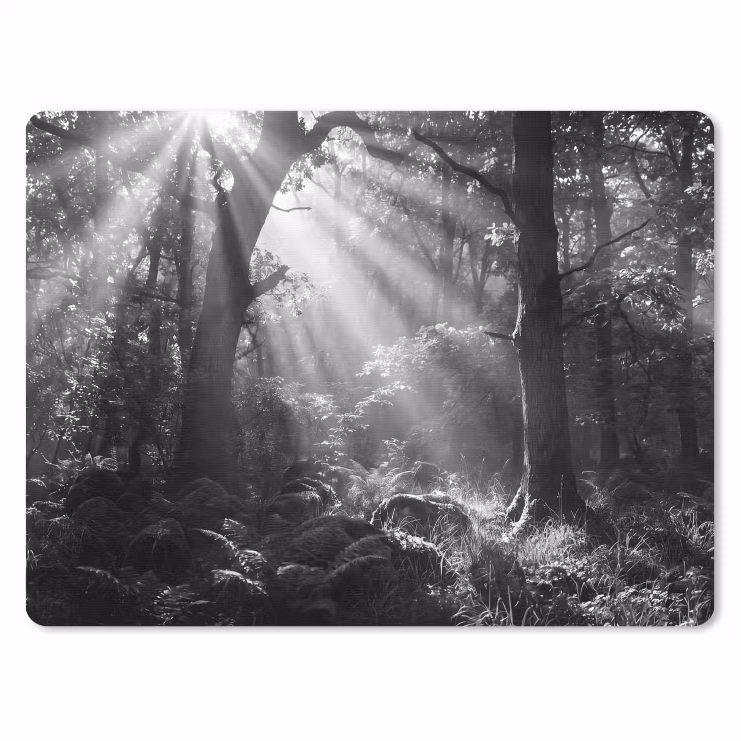 Bos - Lichtstralen - Natuur - Zwart-wit muismat rubber klein -3d