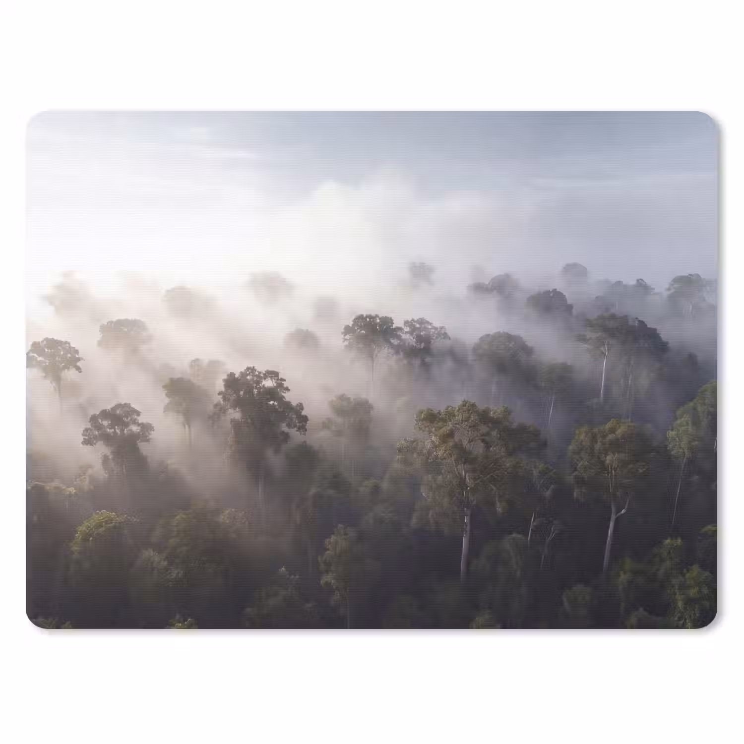 Bos - Mist - Natuur - Groen muismat rubber klein -3d