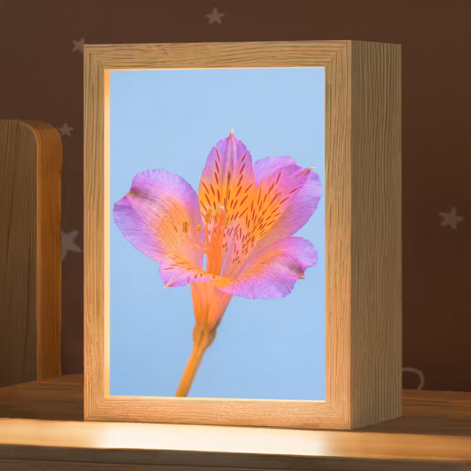 Bloem - Detail - Kleurrijk Light Box met kabel (Kinderlampje) klein -zzz_3d_website