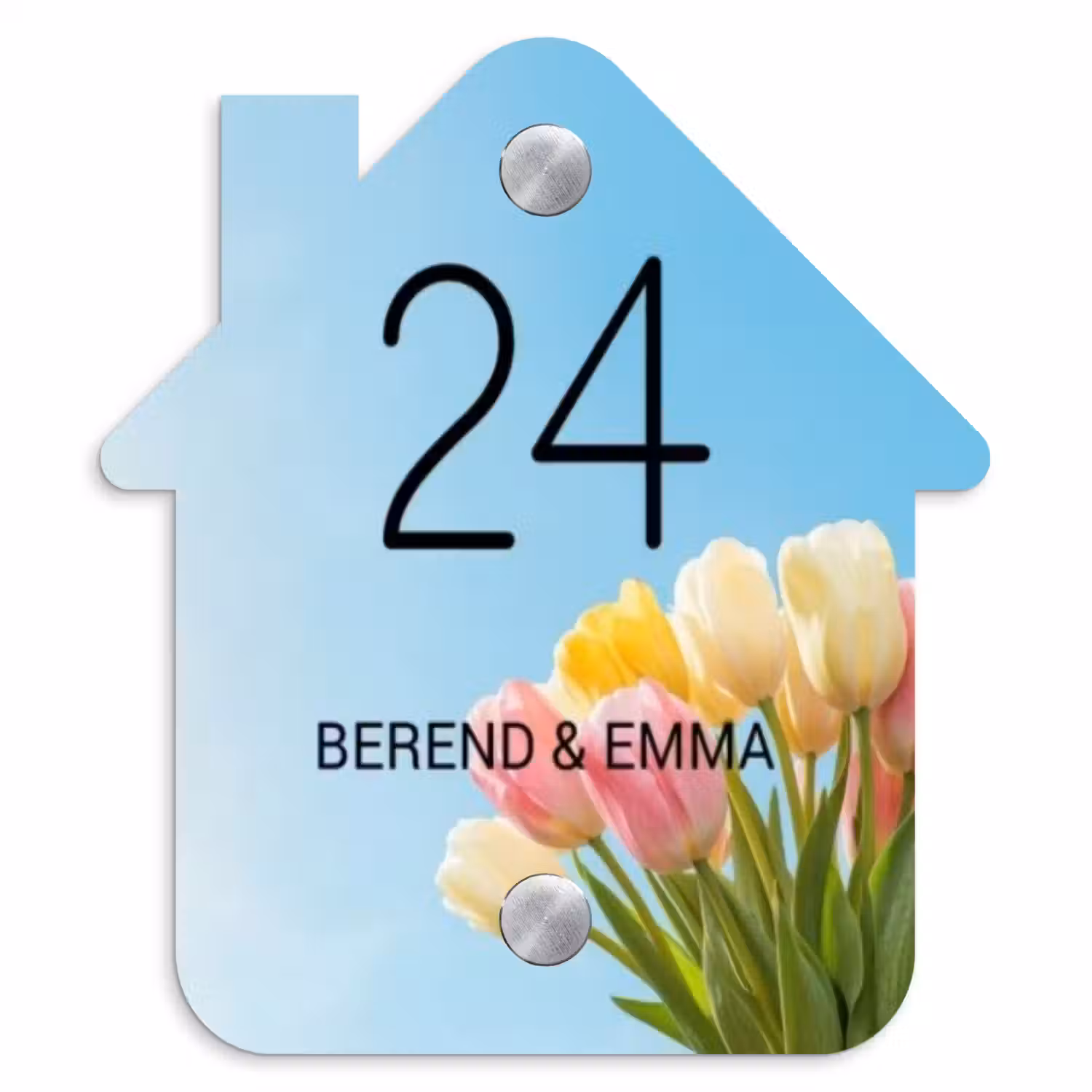 Gekleurde tulpen lucht - Klassiek Naambord Huisje klein -3d