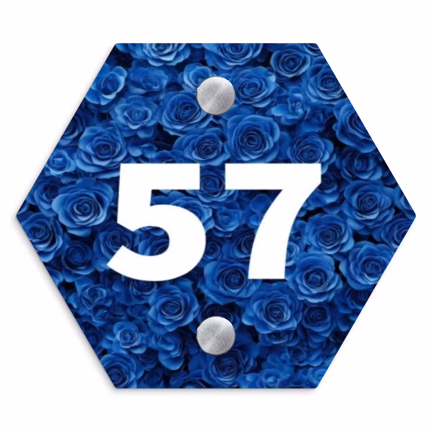 Blauwe rozen - Traditioneel Naambord Hexagon klein -3d