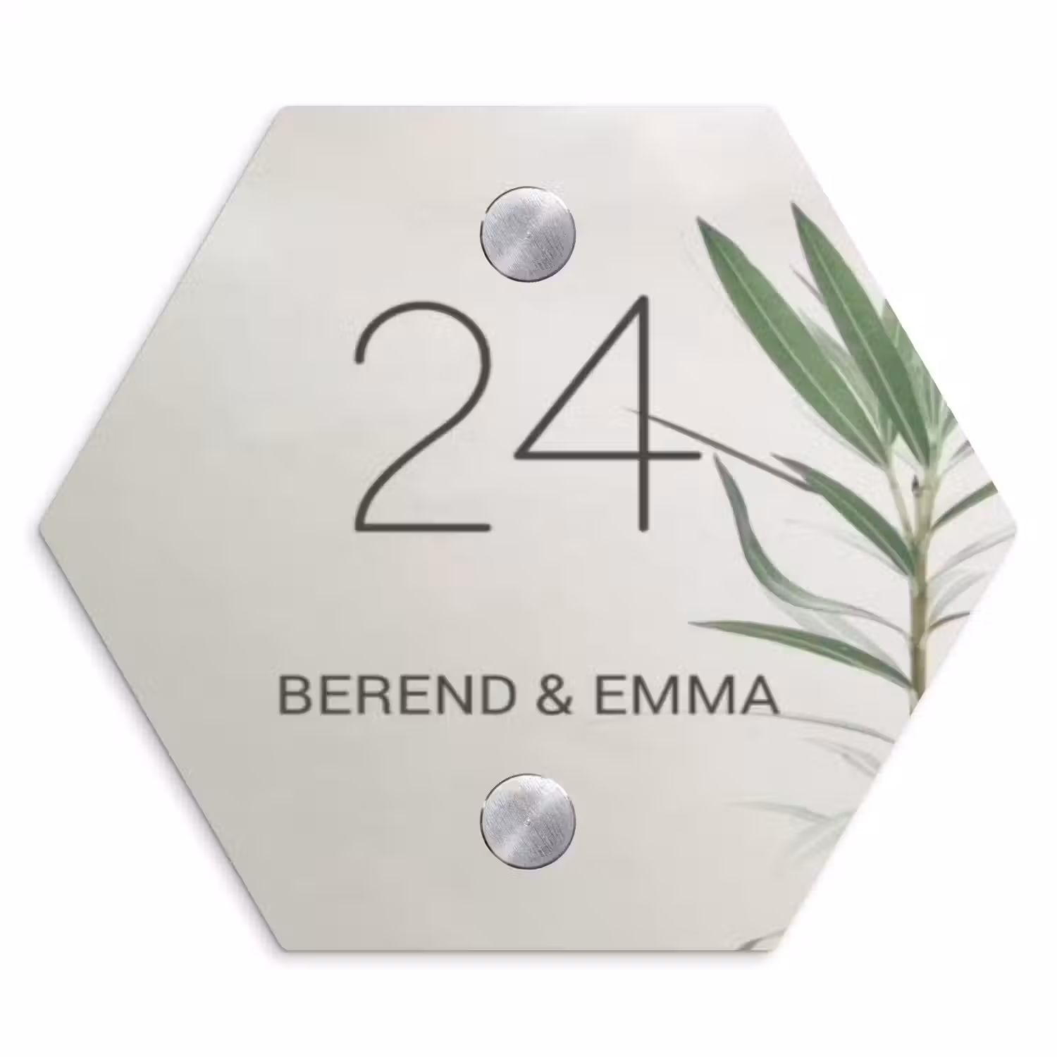 Lichtbeige met plant - Klassiek Naambord Hexagon klein -3d
