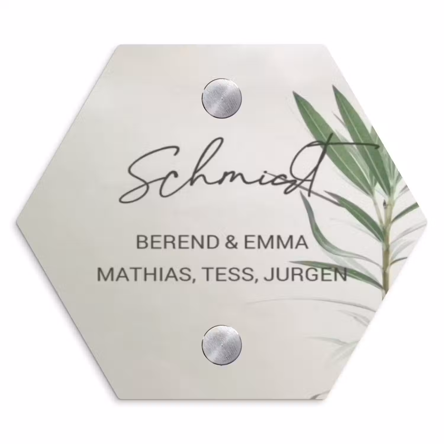 Lichtbeige met plant - Sierlijk Naambord Hexagon klein -3d