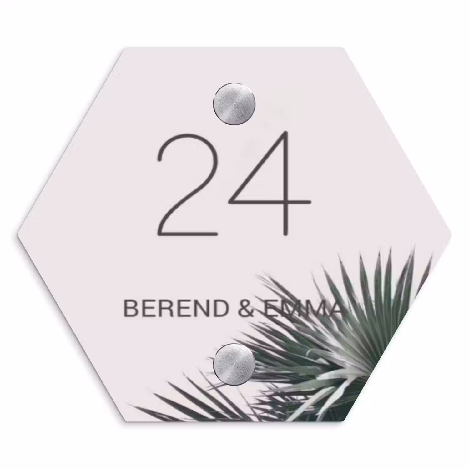 Lichtroze met palmblad - Klassiek Naambord Hexagon klein -3d