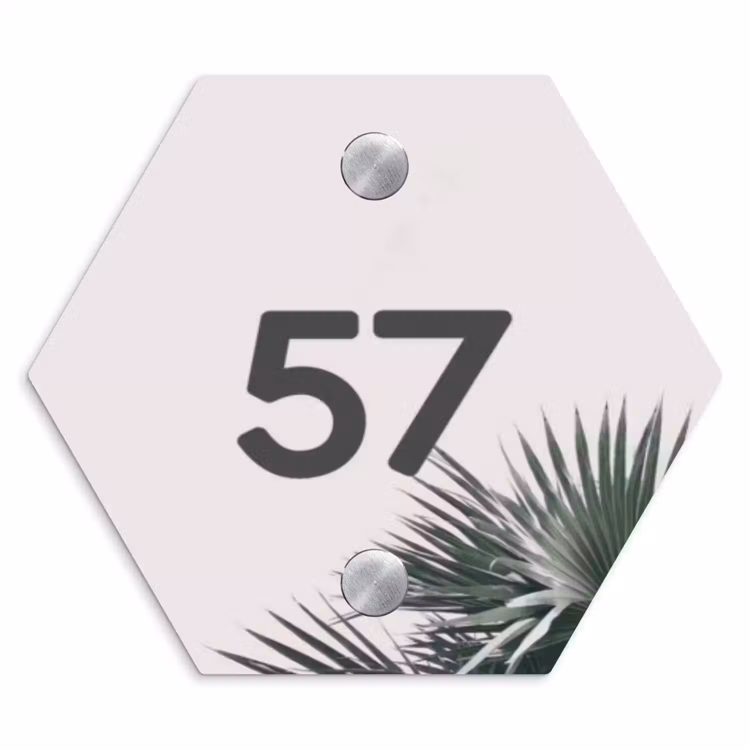 Lichtroze met palmblad - Traditioneel Naambord Hexagon klein -3d