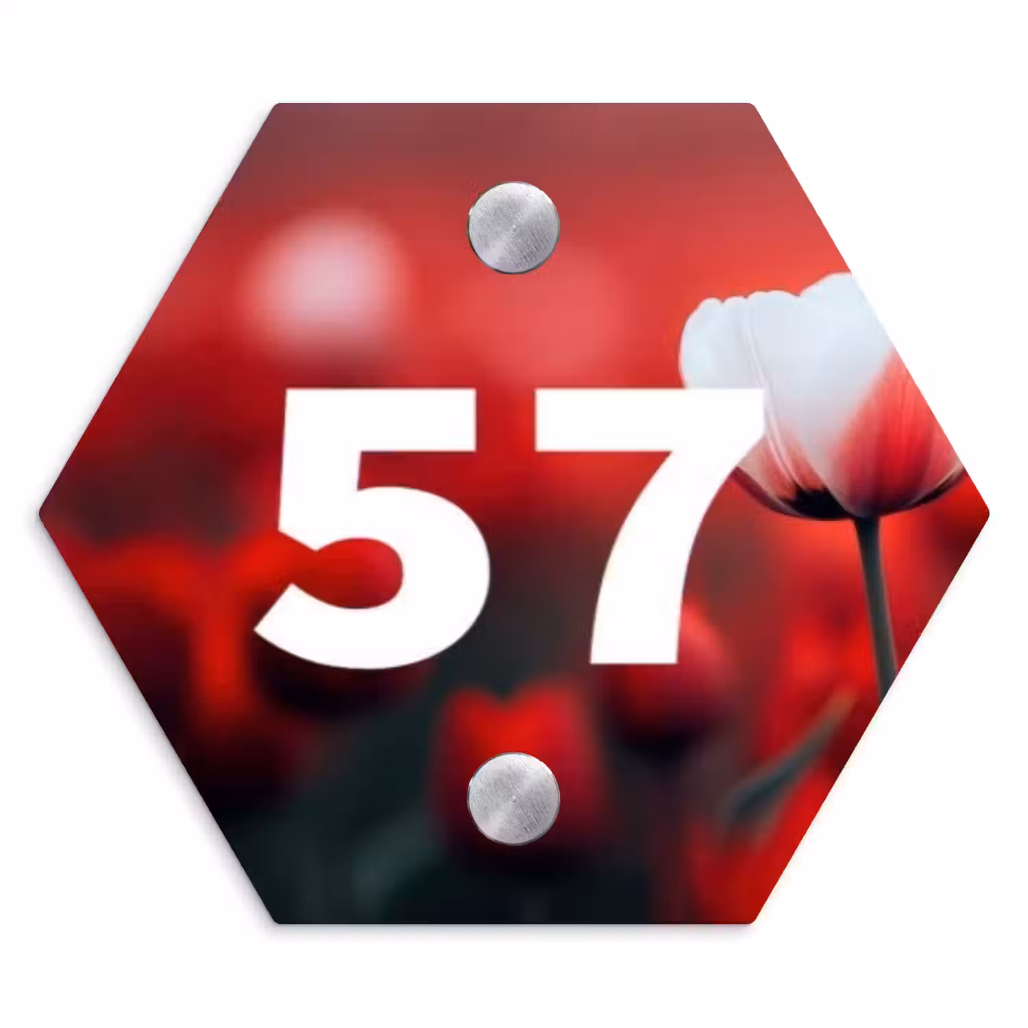 Rode tulpen - Traditioneel Naambord Hexagon klein -3d