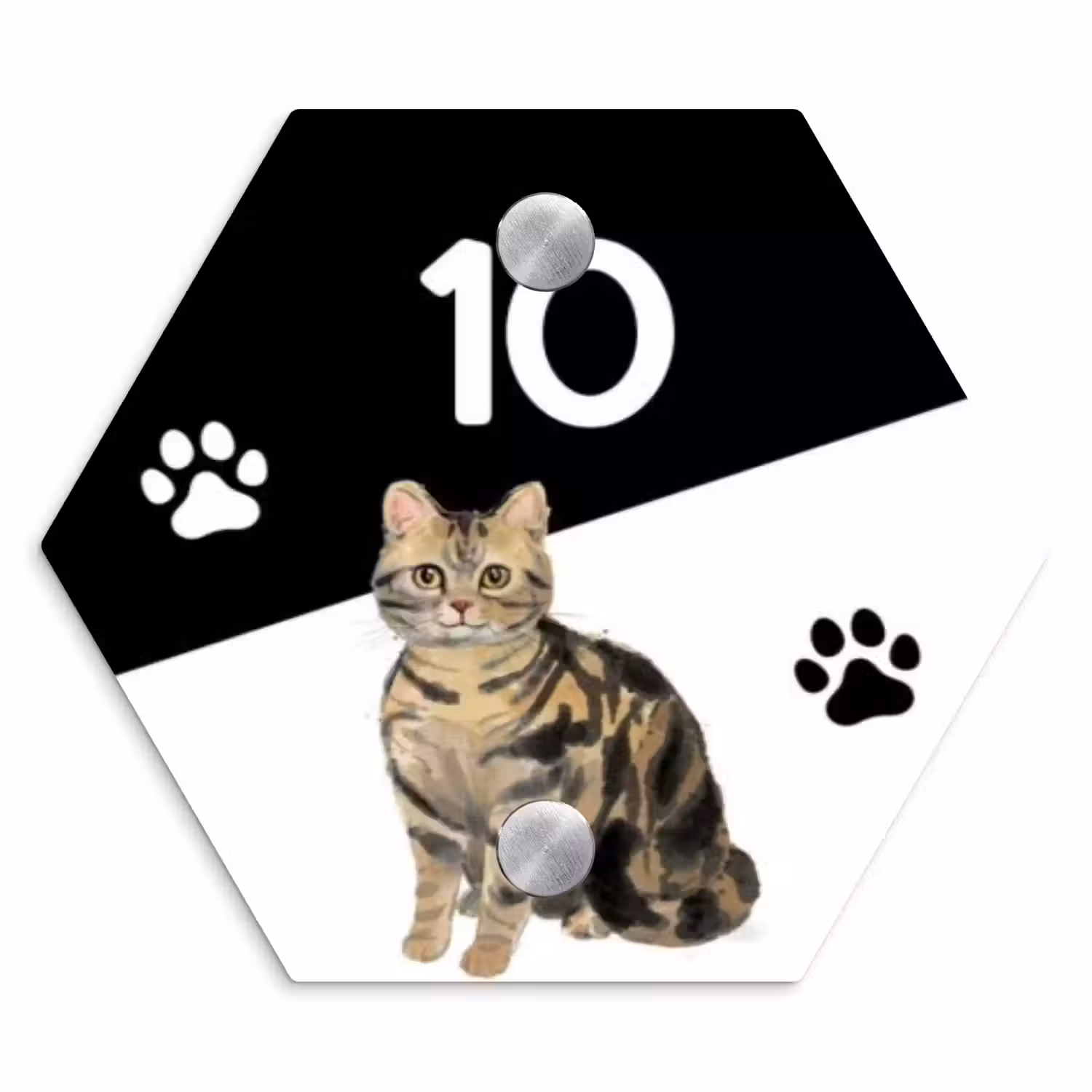 Zwart wit - Huisdier - Bruingestreepte kat Naambord Hexagon klein -3d