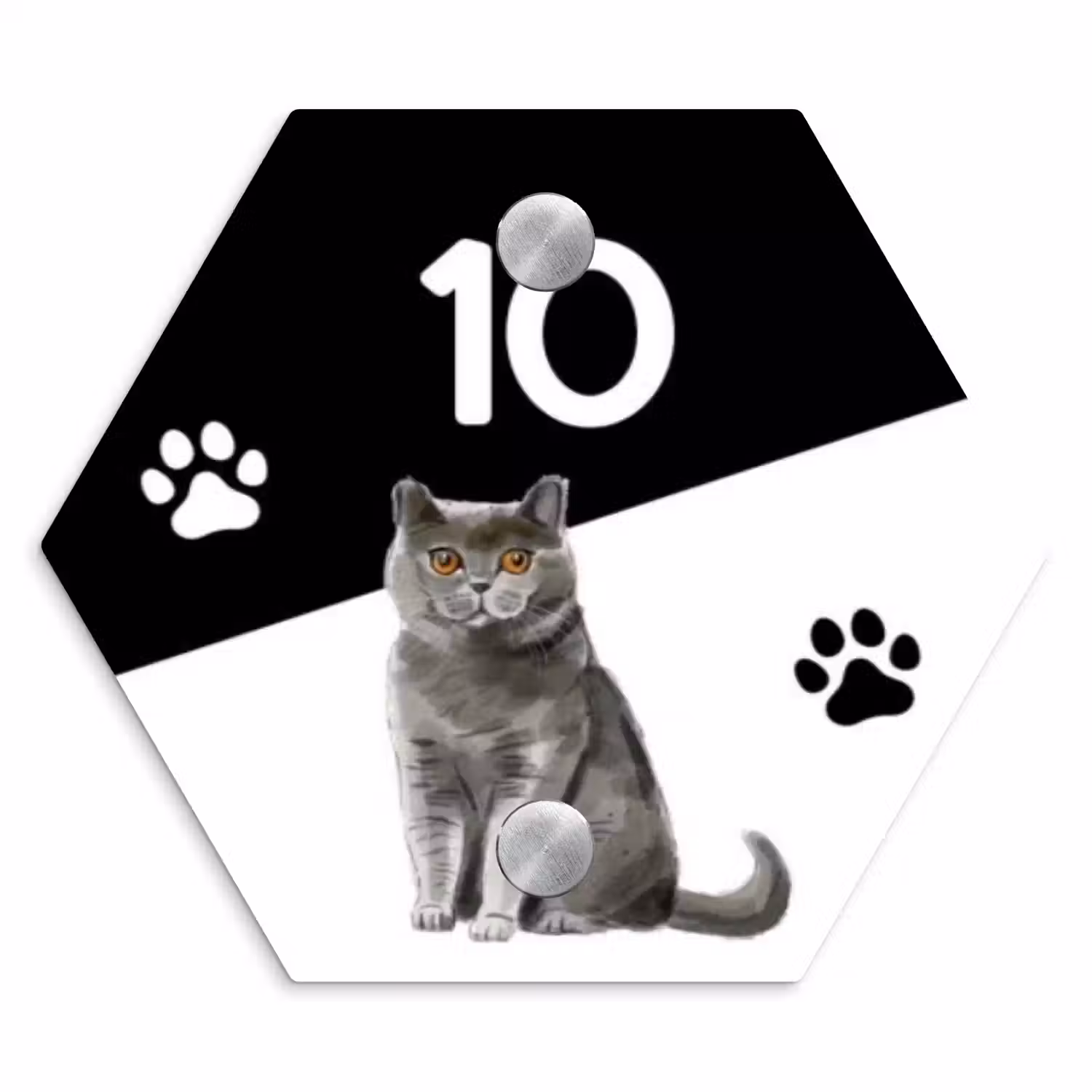 Zwart wit - Huisdier - Grijze kat Naambord Hexagon klein -3d