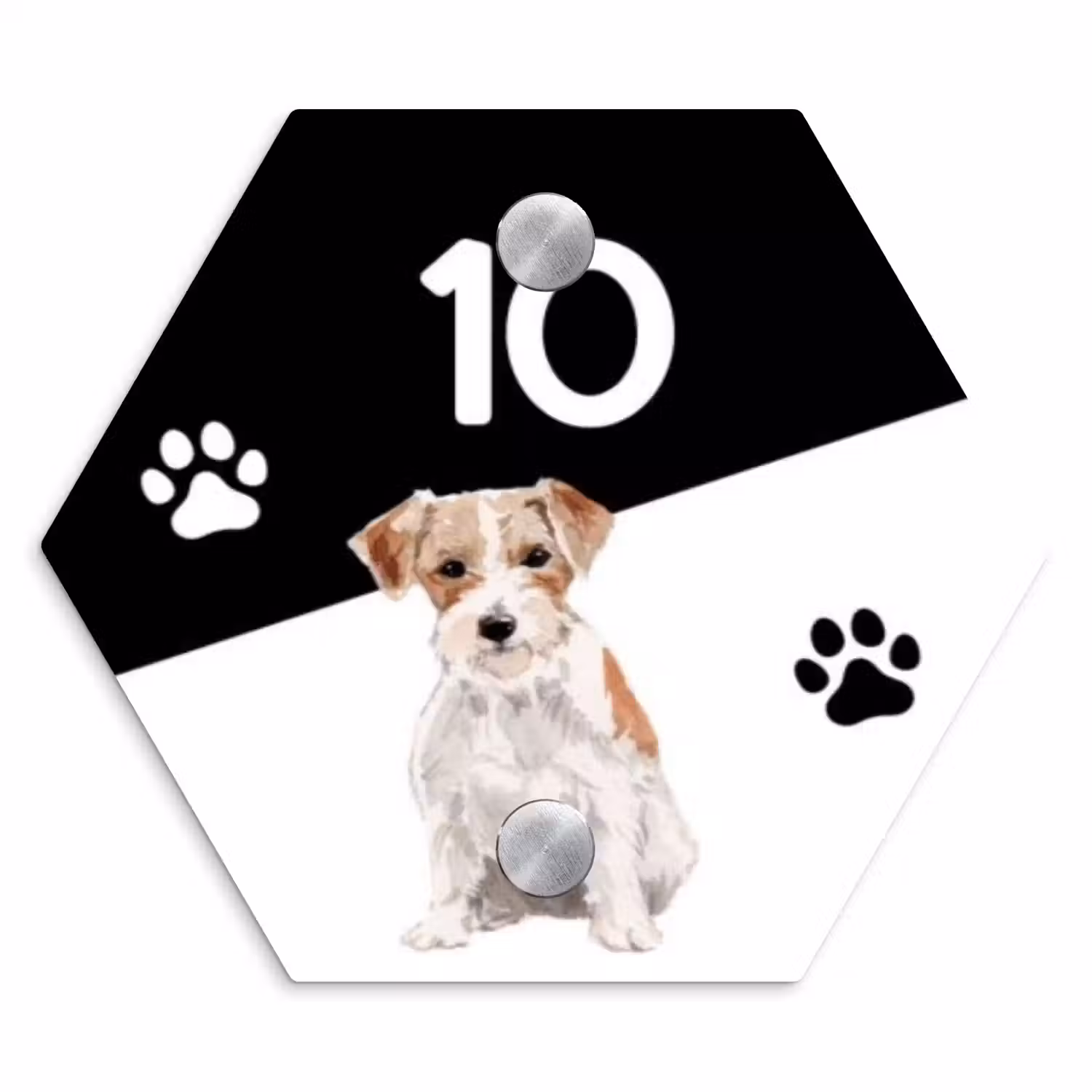 Zwart wit - Huisdier - Jack Russel Naambord Hexagon klein -3d