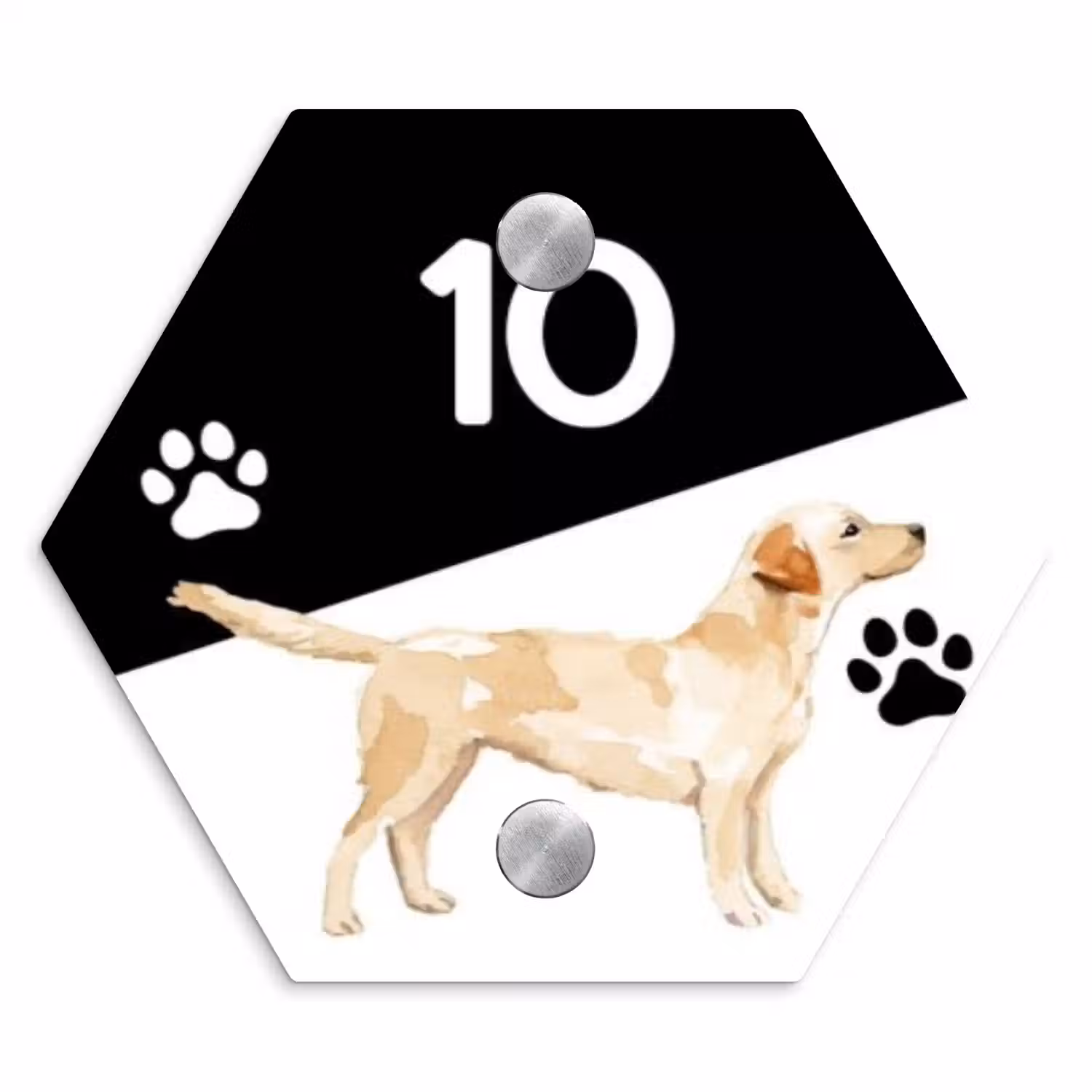 Zwart wit - Huisdier - Labrador Naambord Hexagon klein -3d